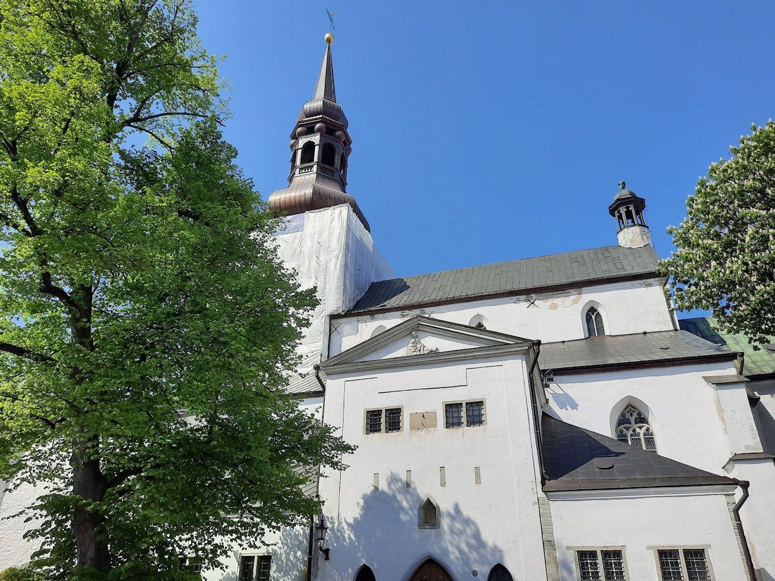 Tallinn's Timeless Tales: A Medieval Walking Tour - photo 2