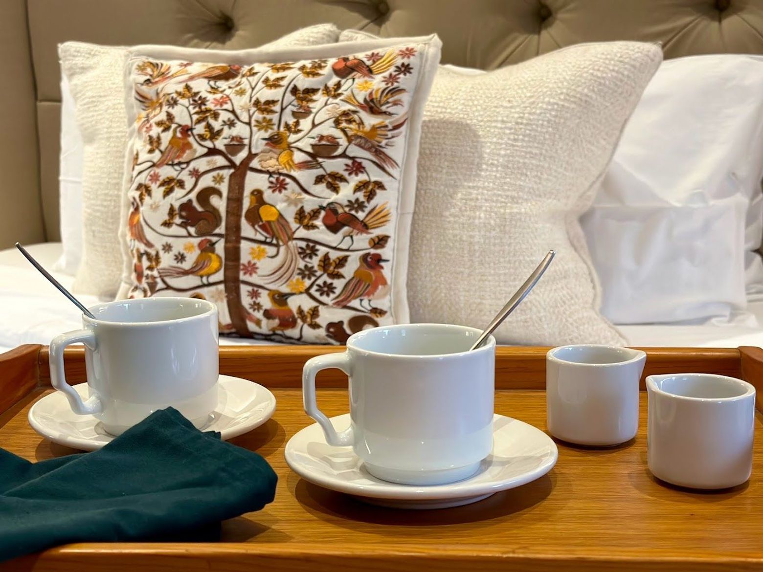 San Miguel de Allende: Enchanted Homes & Gardens Audio Tour - photo 2