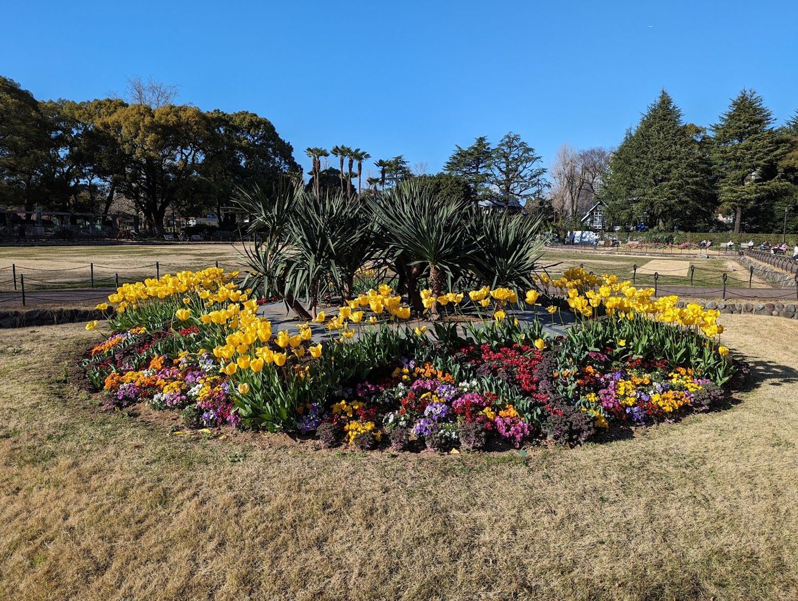 Tokyo: Imperial Echoes Audio Tour - photo 2
