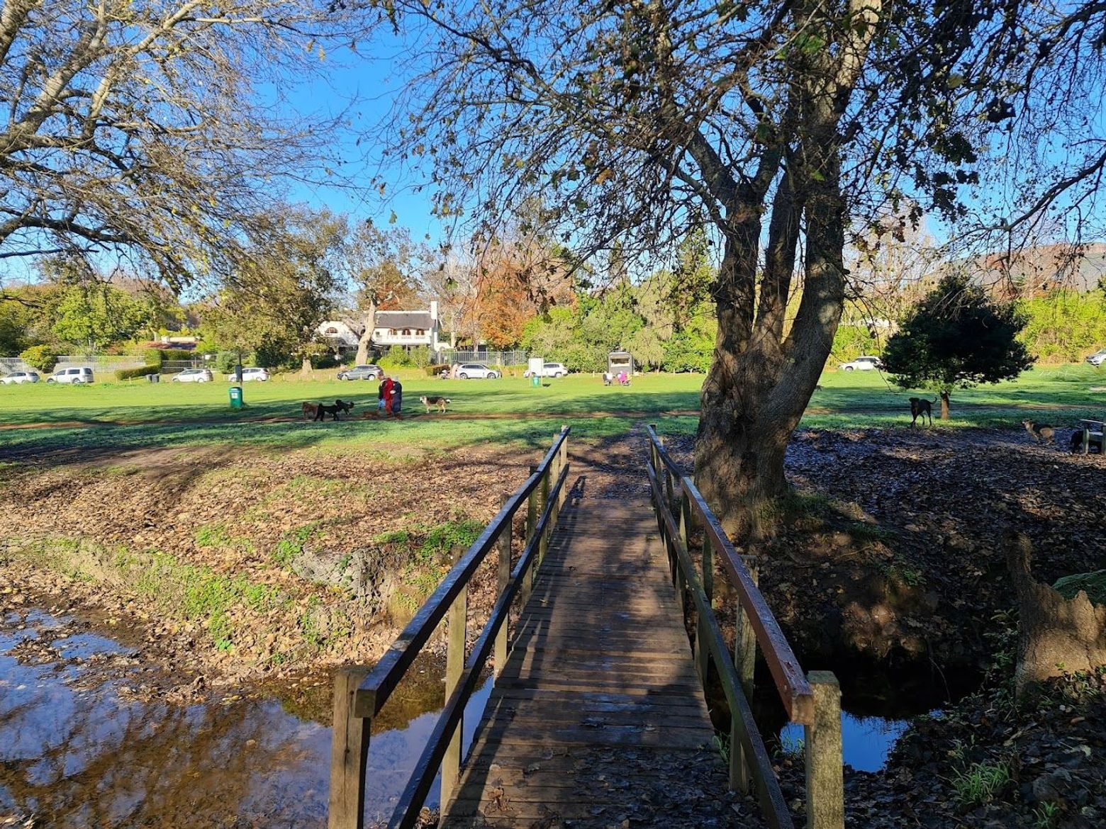 Cape Town: Enchanted Gardens Audio Tour - photo 2