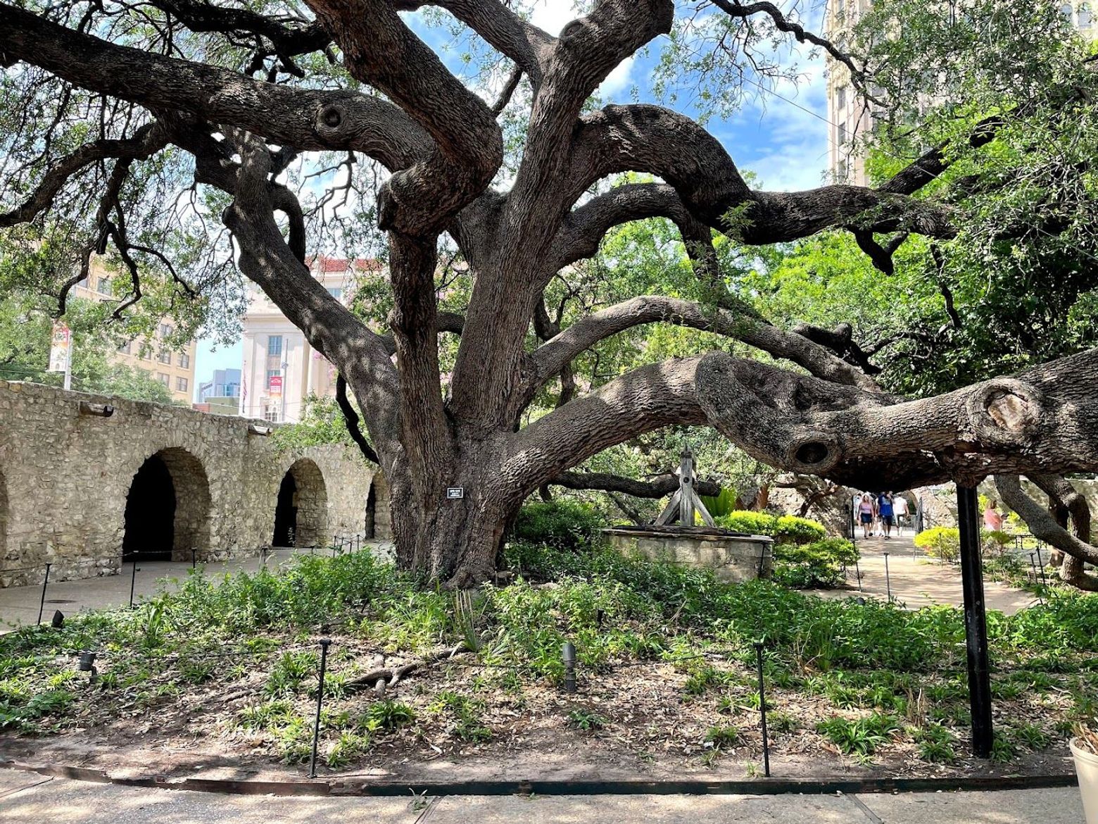 San Antonio: A Walk Through Historic Heart & Heritage - photo 2