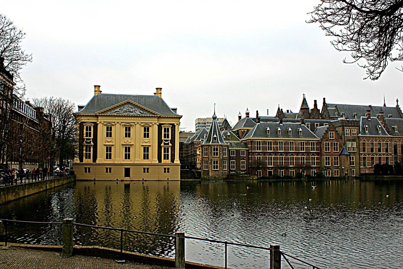 The Hague: Royal Walk through Dutch Elegance - photo 2