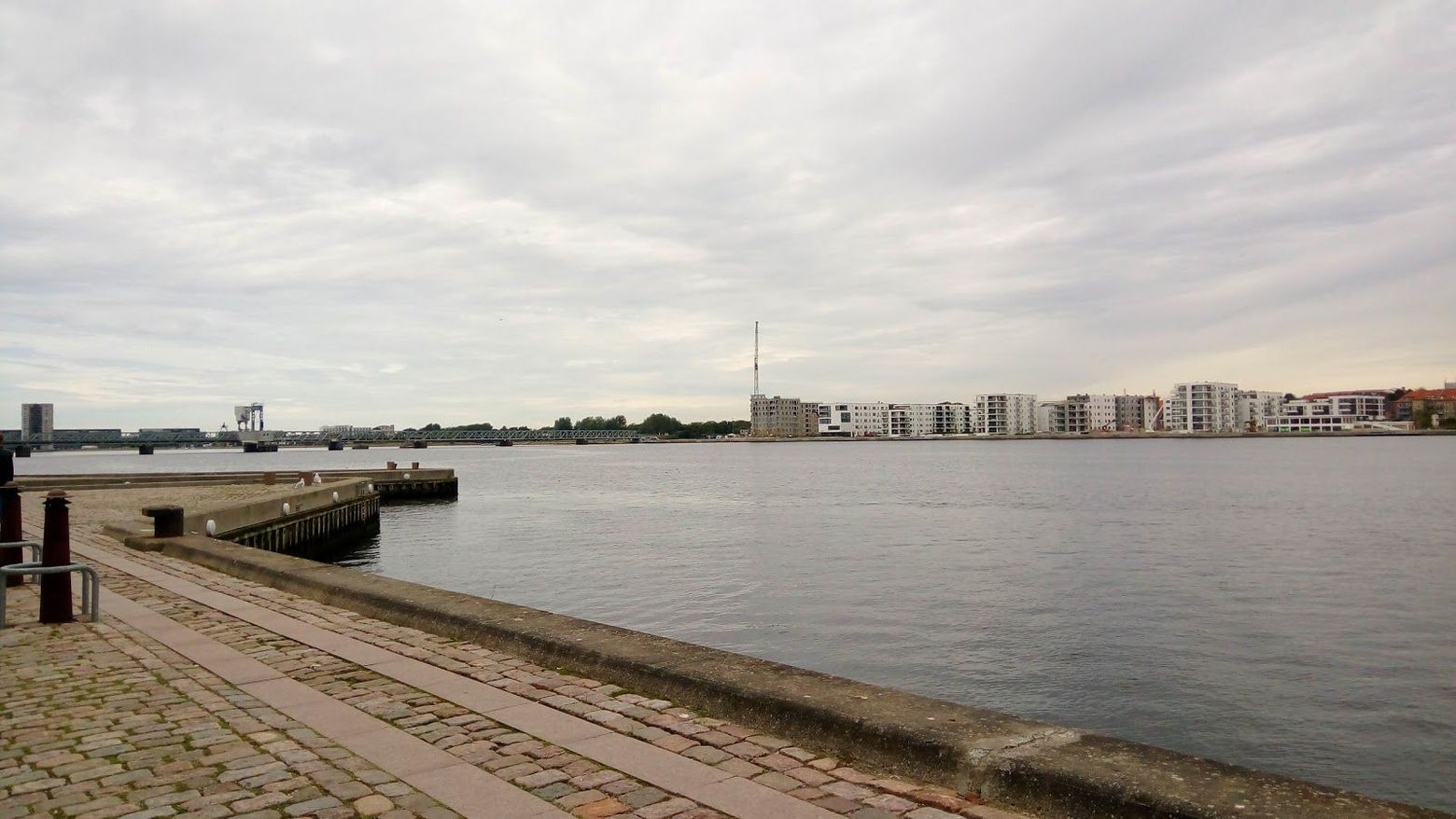 Aalborg: Viking Legacy Audio Tour - photo 2