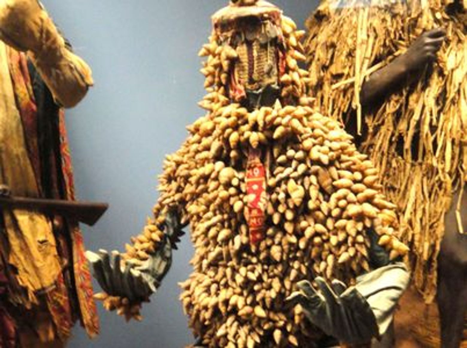 New York City: American Museum of Natural History Ticket & Audio Tour - photo 4