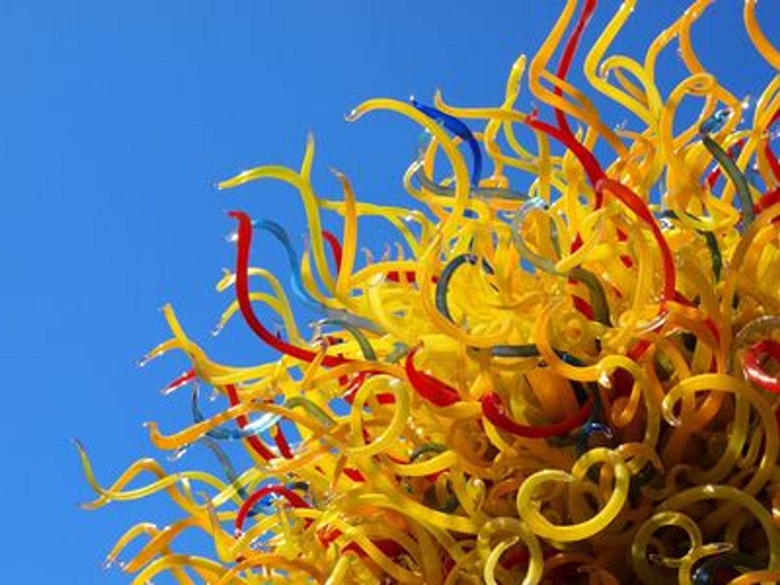 Artistic Seattle: Engaging with the Extraordinary on the Vibrant Streets - photo 3