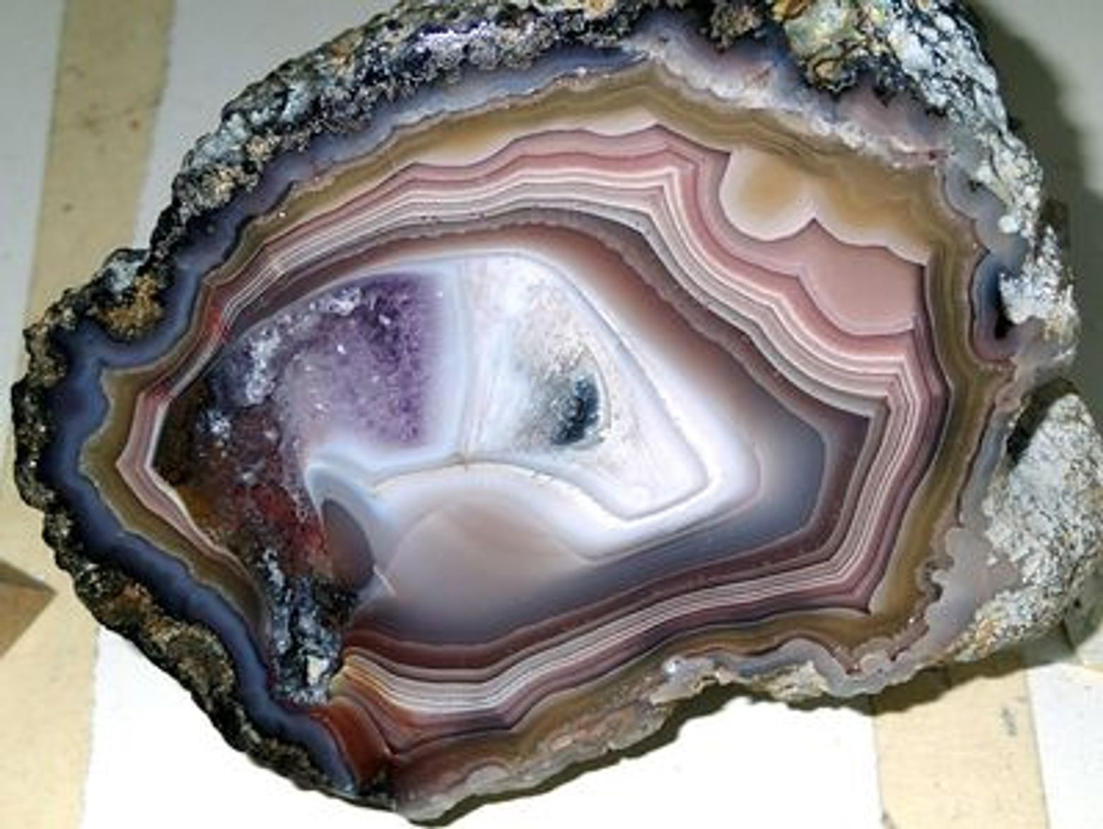 Denver: Museum of Nature and Science Ticket & Audio Tour - photo 3