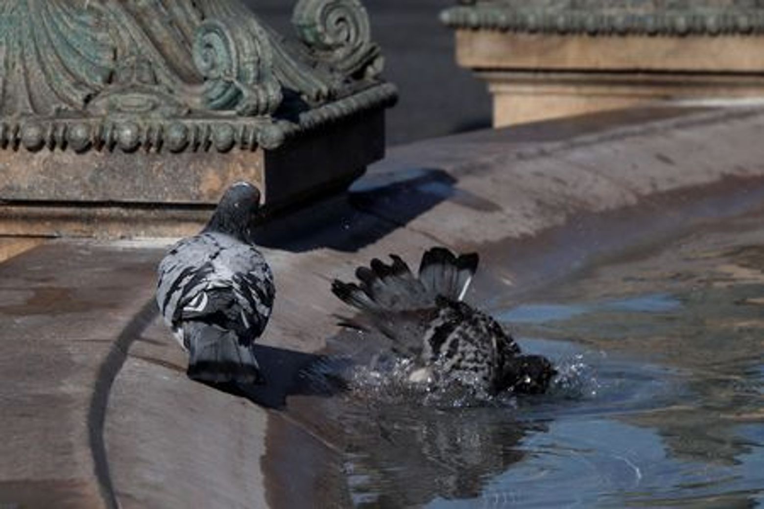 Rome Walking Audio Tour: Vatican Mysteries, Castel Sant'Angelo and More - photo 3