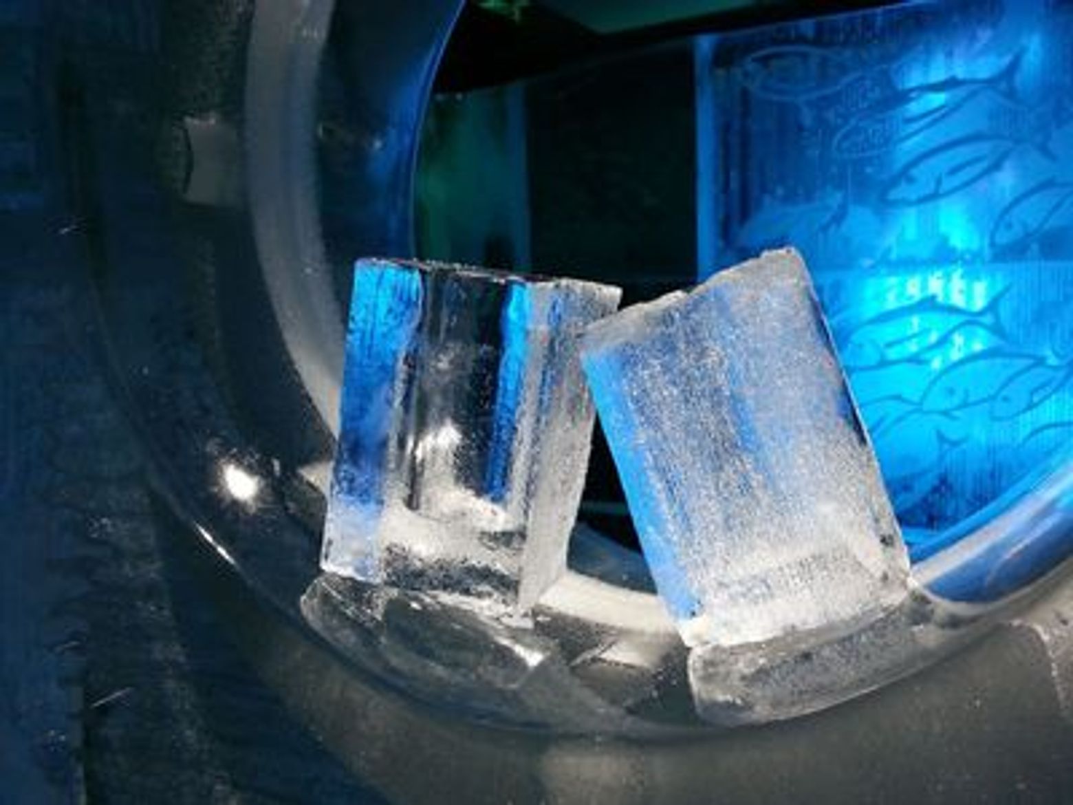 Berlin Icebar: Entrance Ticket - photo 4