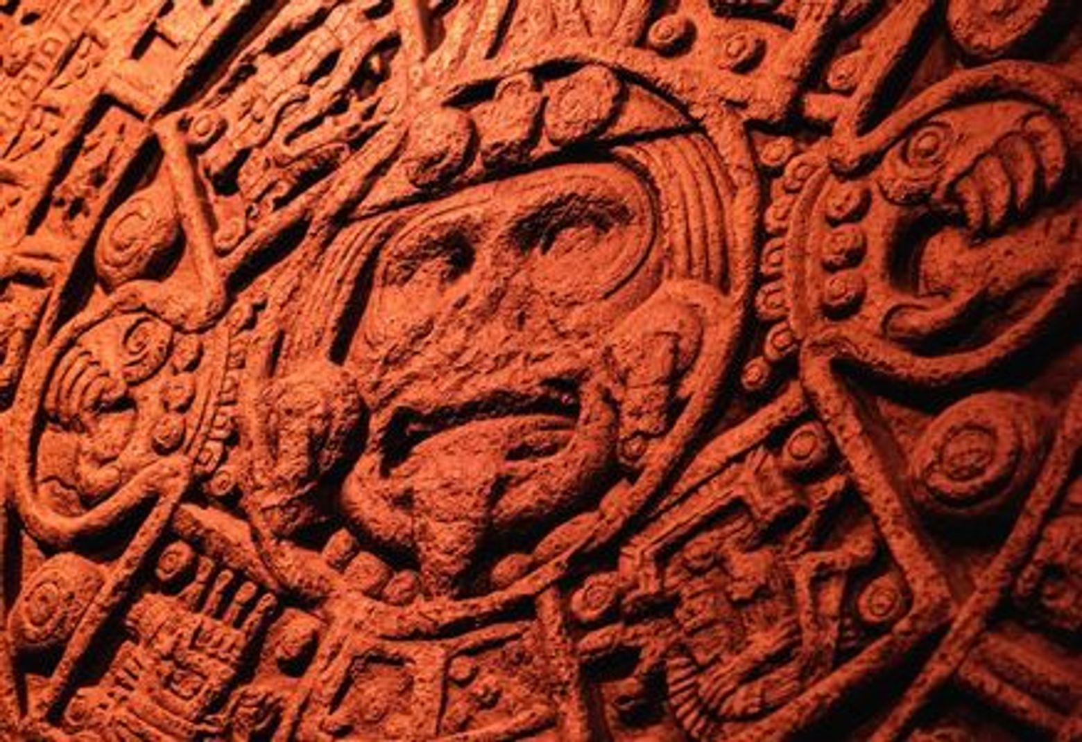 Chicago: Field Museum of Natural History Ticket - photo 3