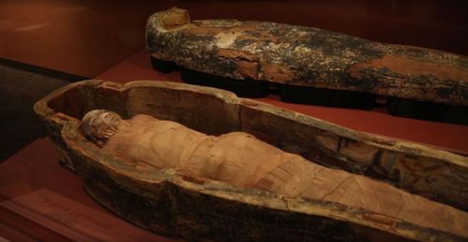 Denver: Nature & Science Audio Exploration - photo 3