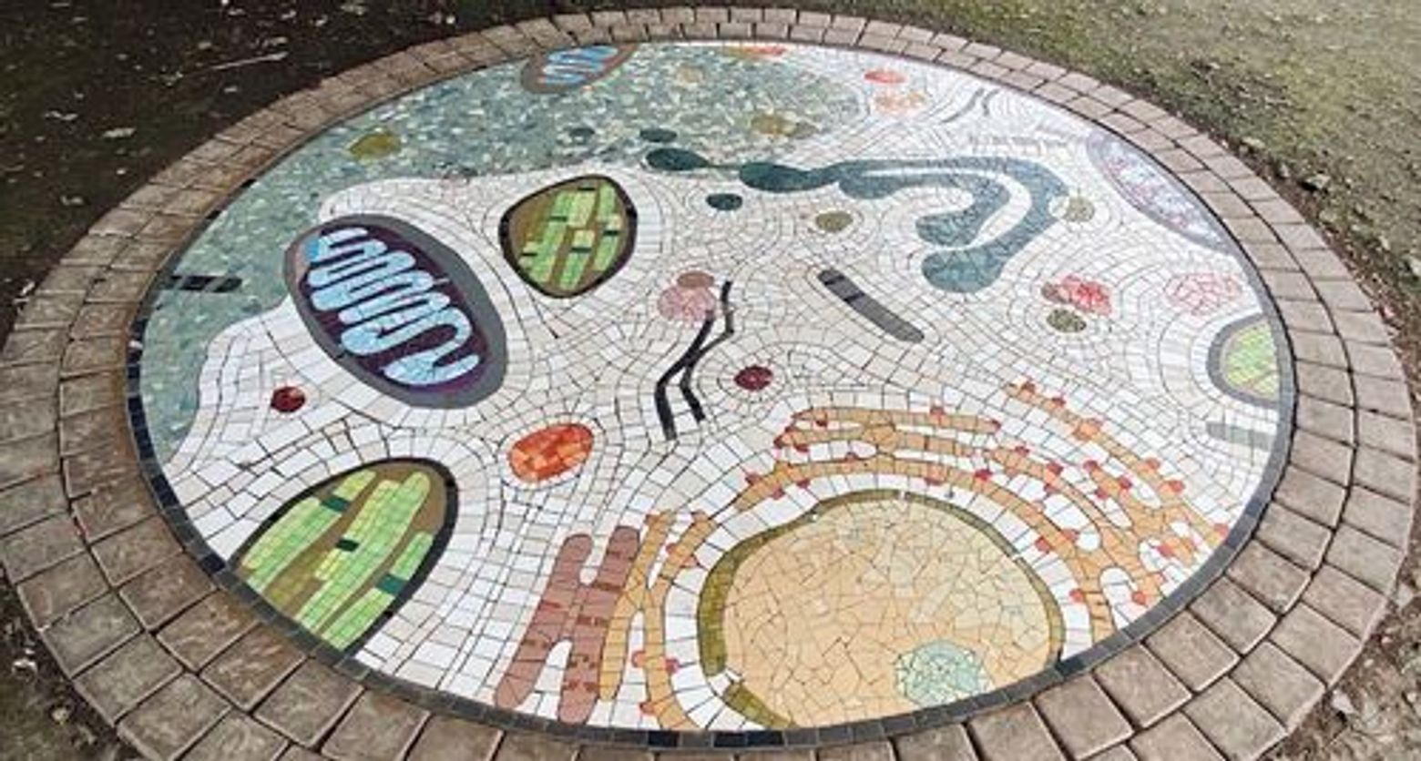 Cape Town: Green Point Park Adventure Audio Tour - photo 3