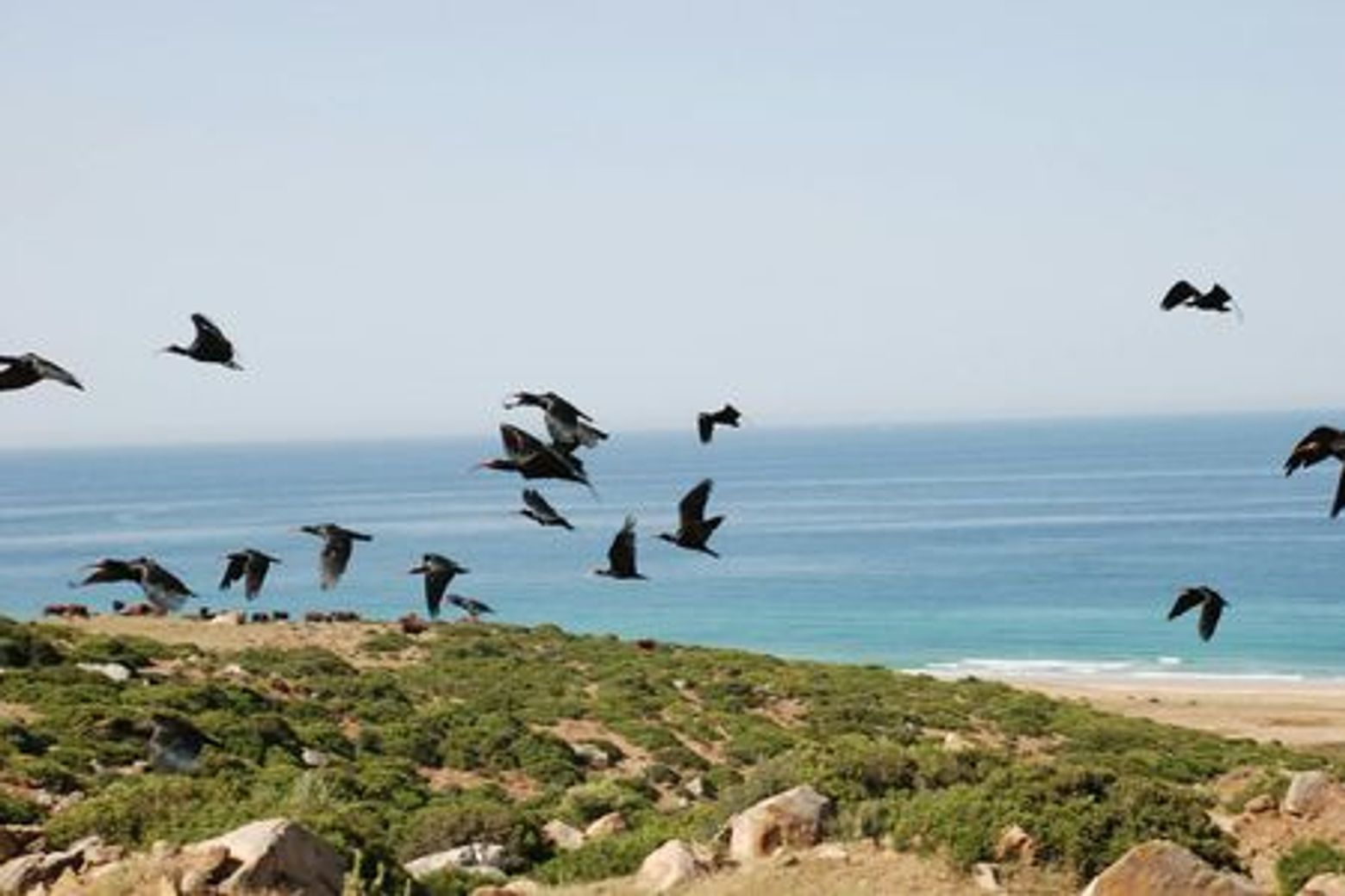 Parco Natura Viva: Open Date Ticket - photo 4