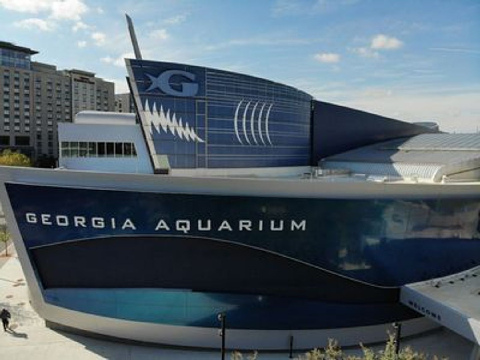 Georgia Aquarium: Skip The Line Ticket - photo 4