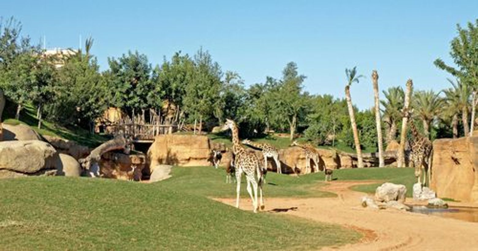 Bioparc Valencia: Fast Track Ticket - photo 4