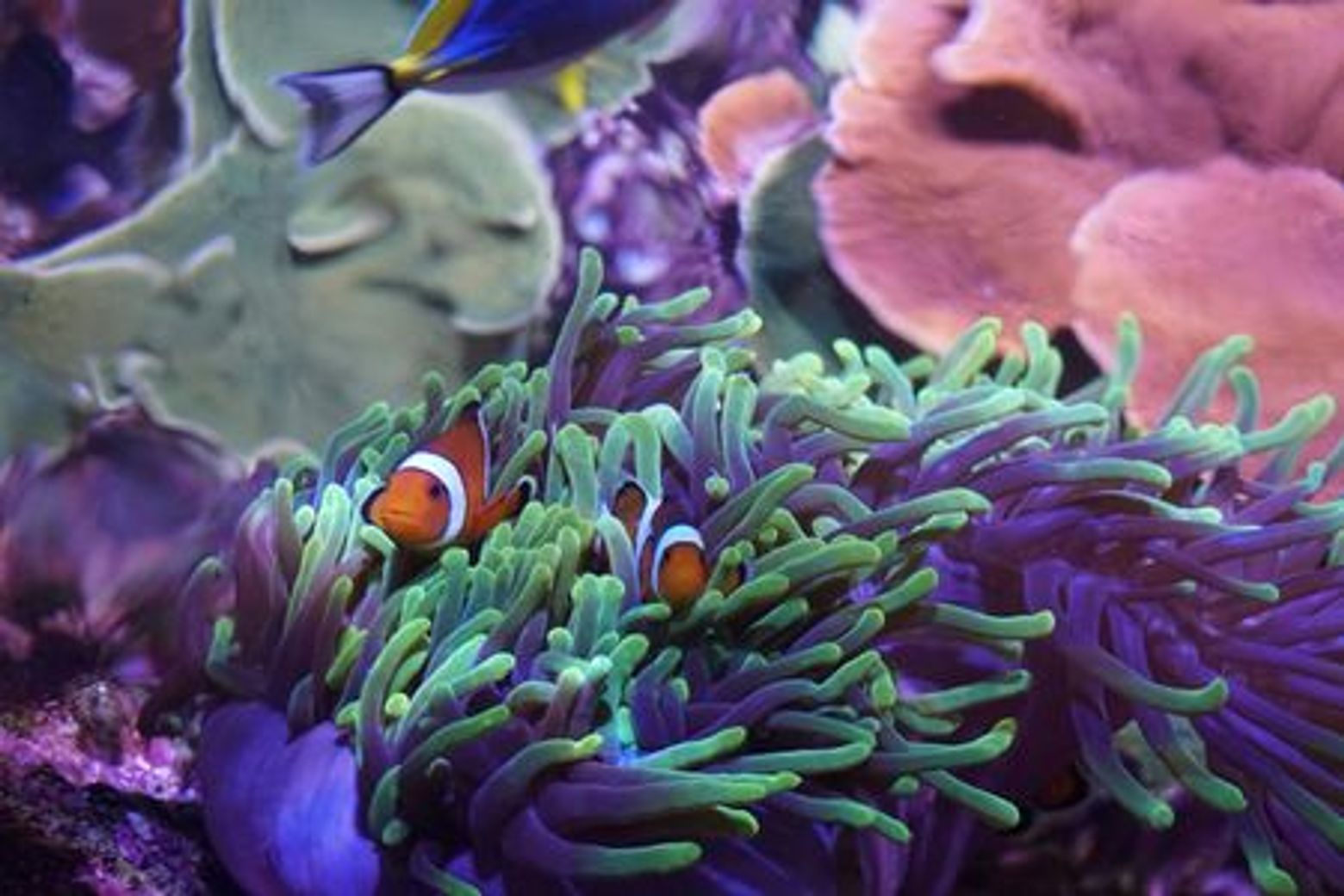 Seville Aquarium: Entry Ticket - photo 3