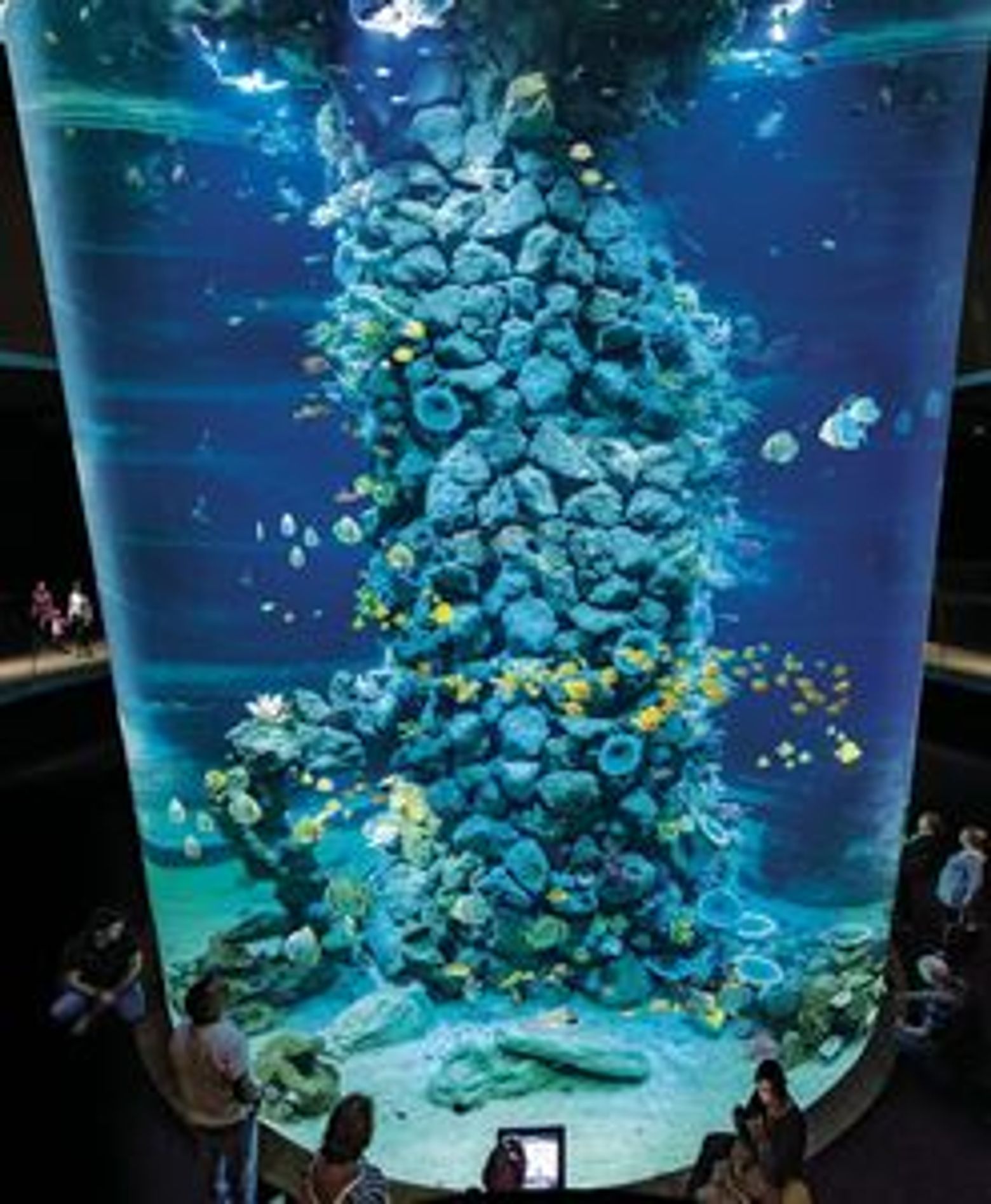 Poema del Mar - Aquarium Gran Canaria: Skip The Line Ticket - photo 3