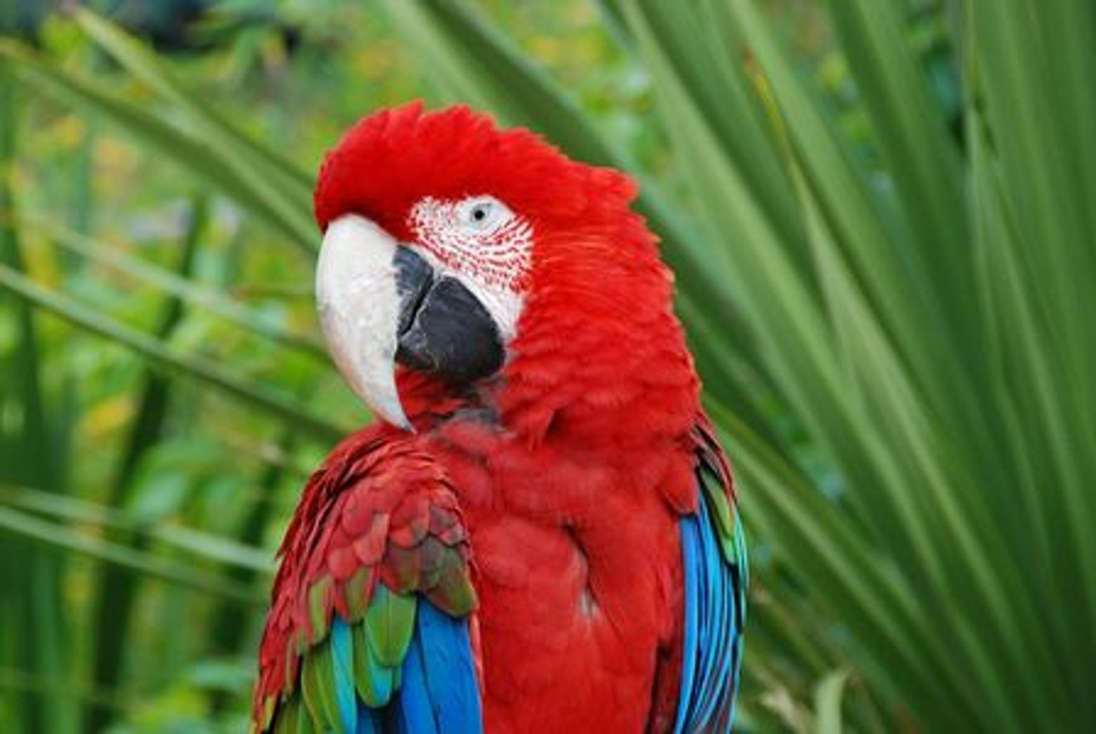 Lisbon Zoo: Fast Track Ticket - photo 3