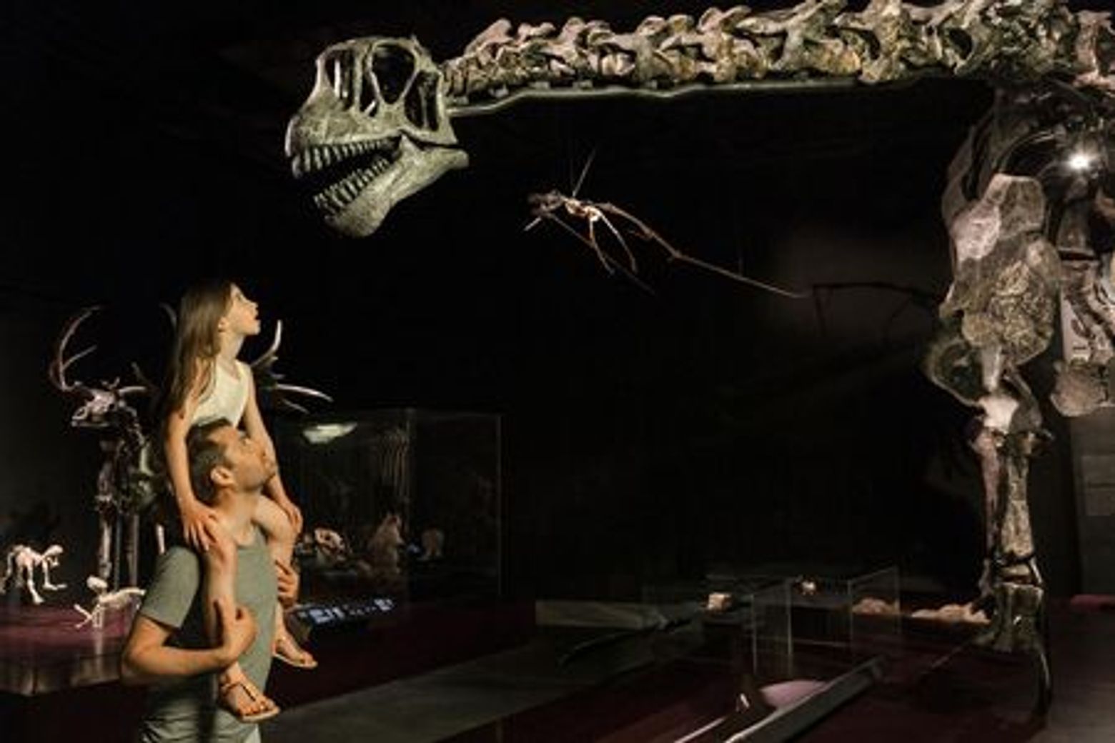 Musée des Confluences: Entry Ticket - photo 4