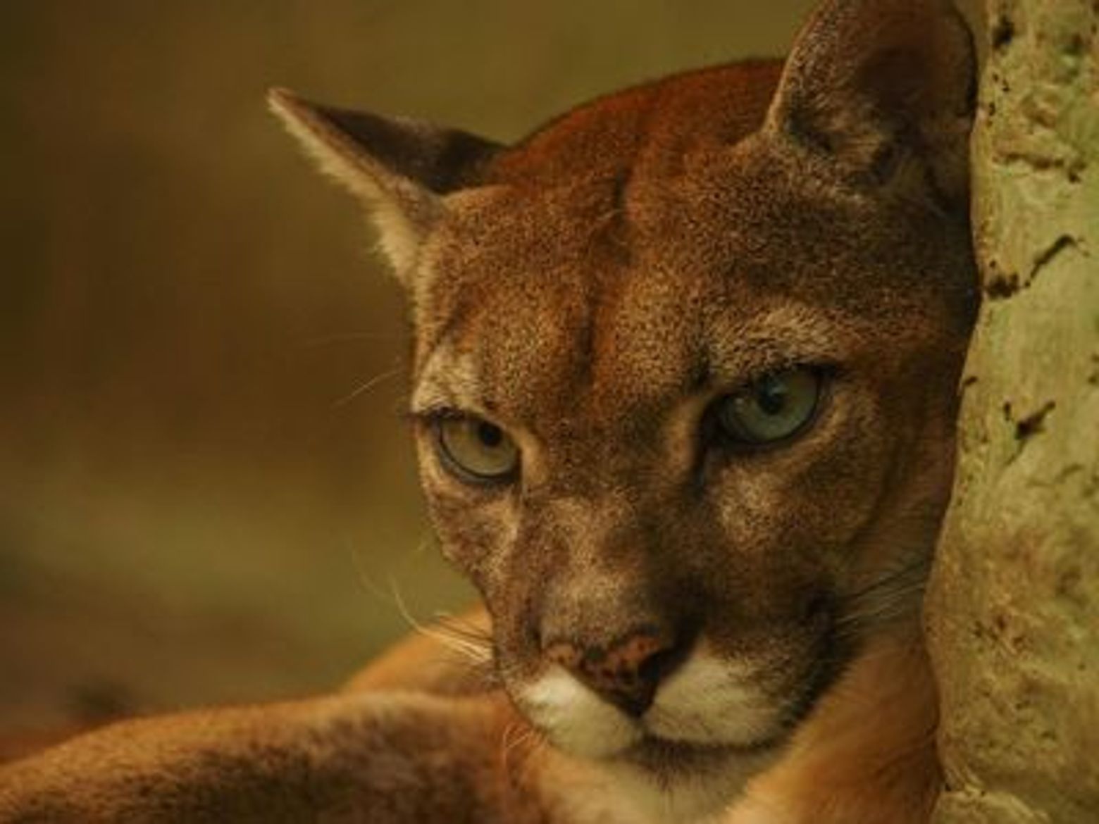 Parque de la Conservación Medellín: Skip The Line Ticket - photo 3