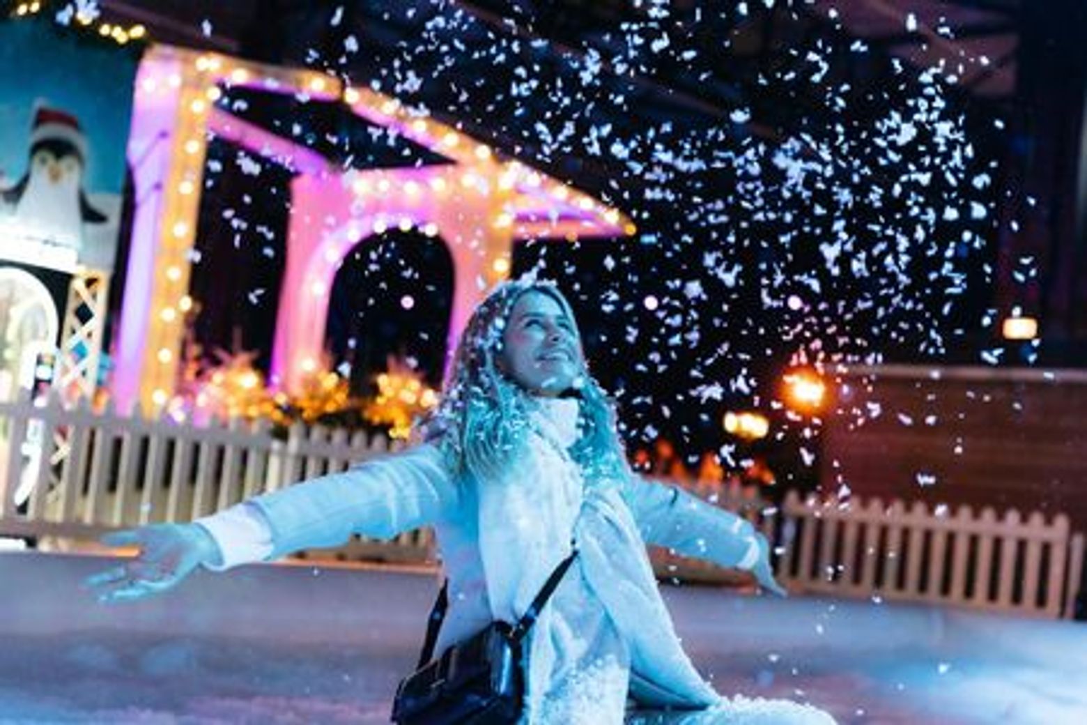 Amsterdam Winter Paradise: Entry Ticket - photo 3