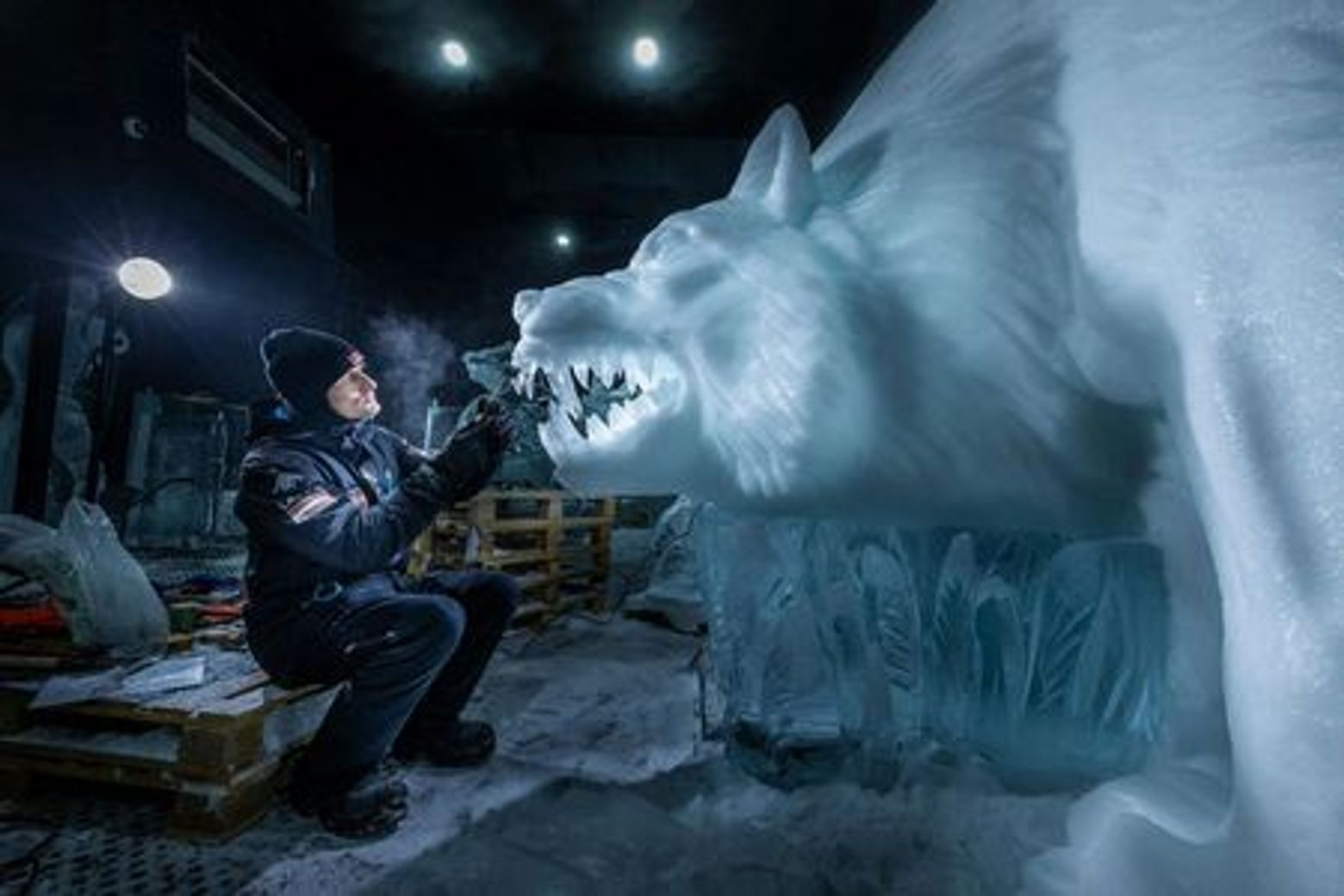 Dutch Ice Sculpture Festival: Entry Ticket - photo 4