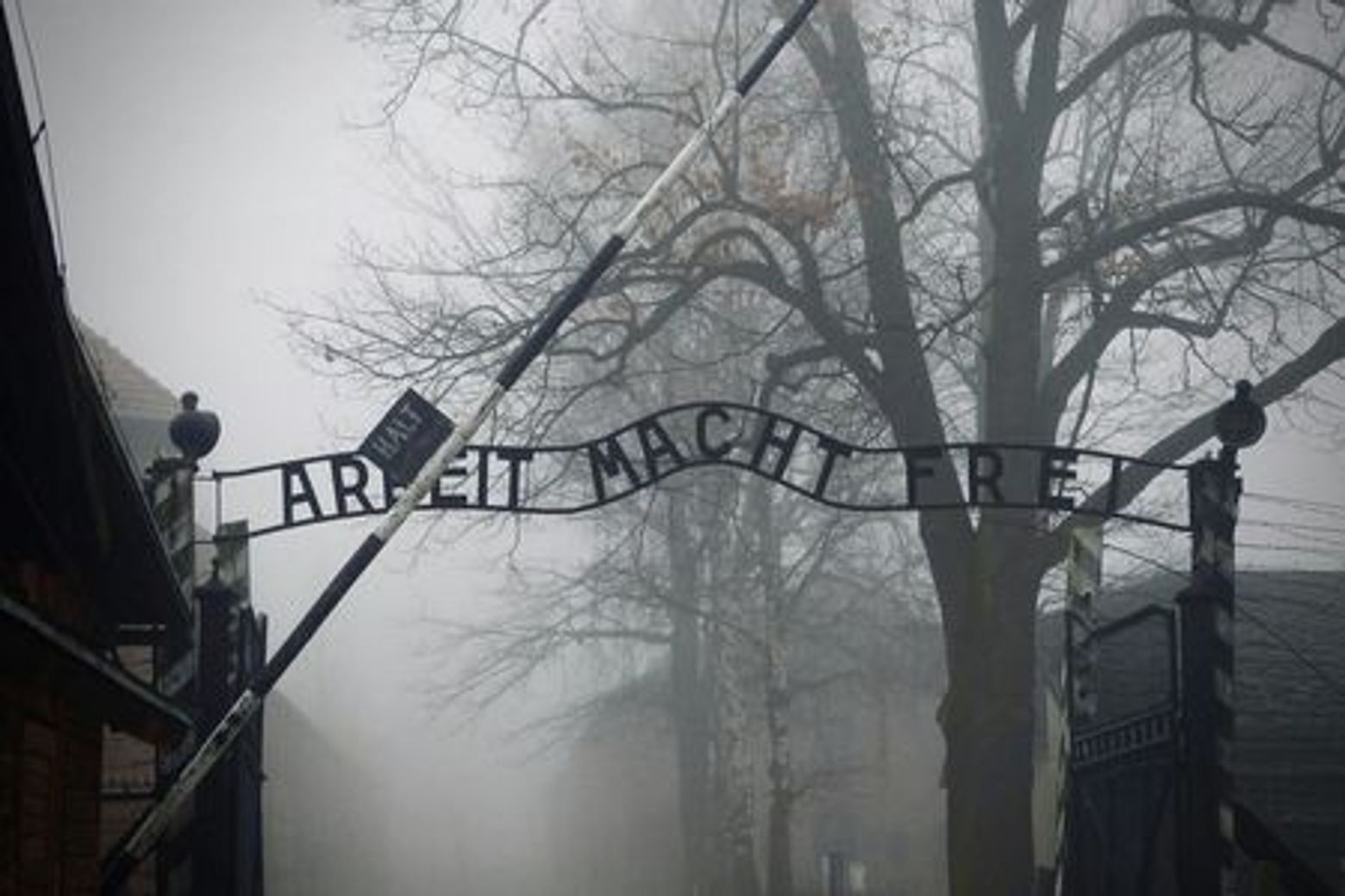 Auschwitz-Birkenau: Entry + Transport - photo 3