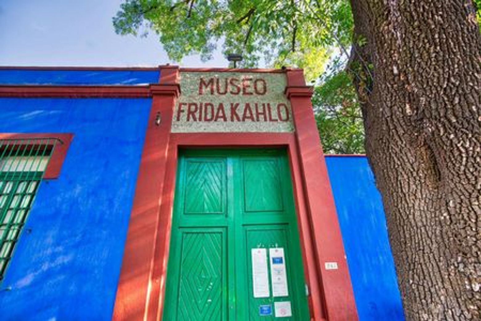 Frida Kahlo & Anahuacalli Museum: Entry Ticket - photo 4