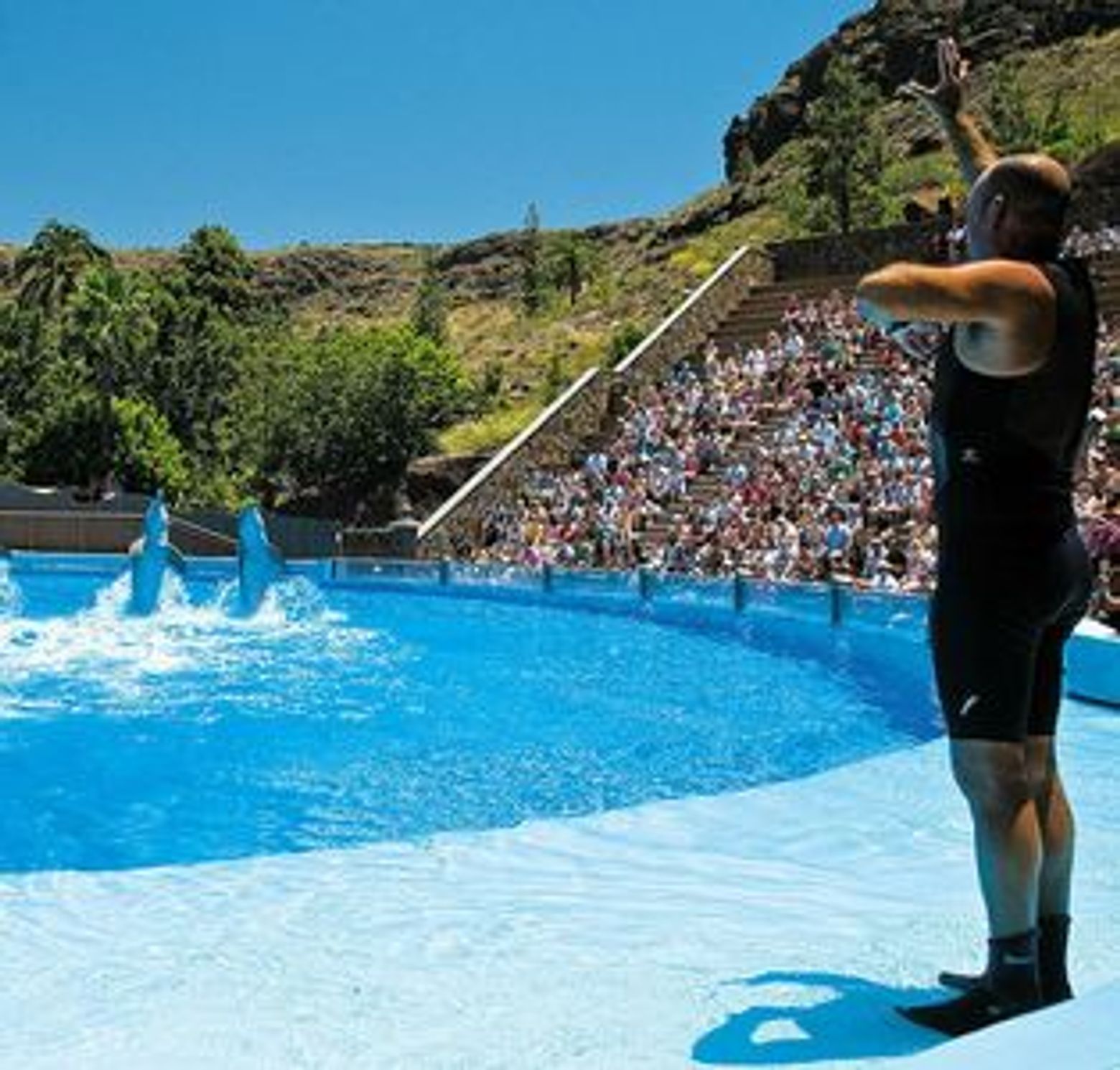 Palmitos Park: Entry Ticket - photo 4