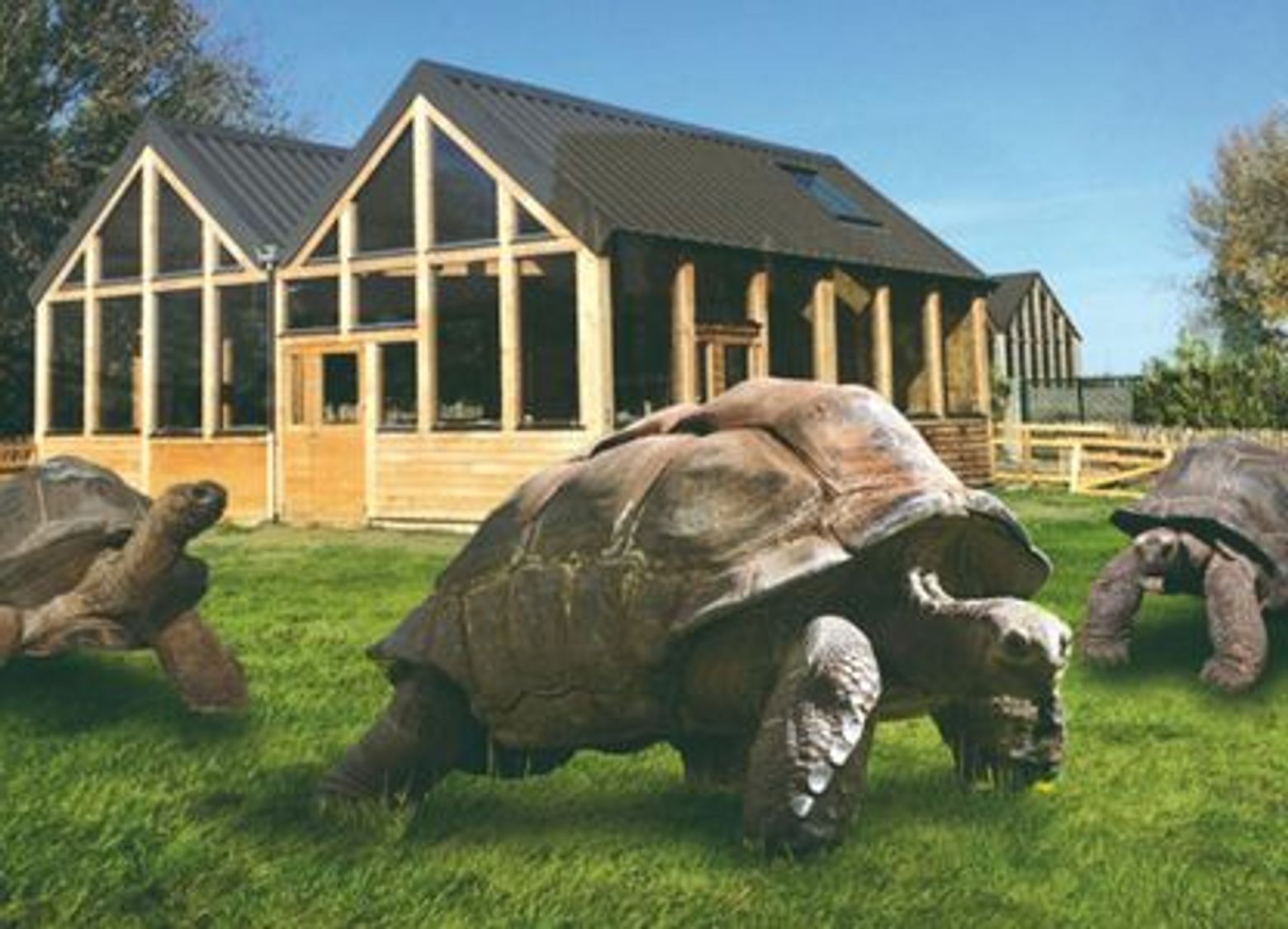 Alligator Bay: Entry Ticket - photo 3