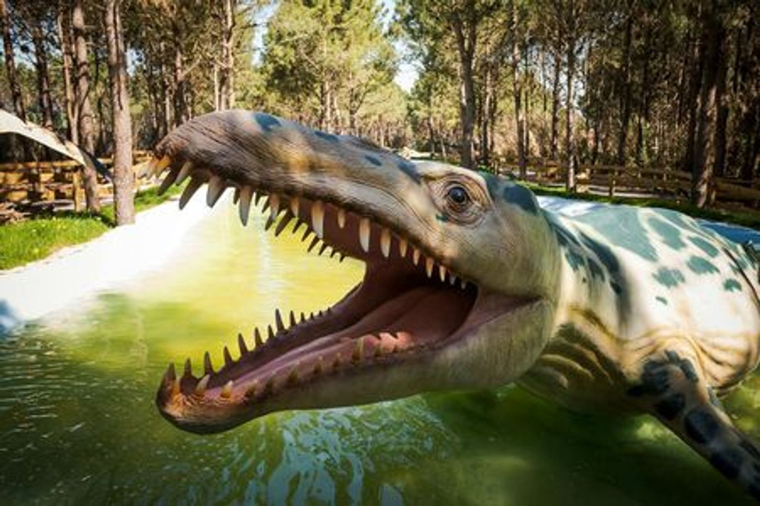 Dino Parque Lourinha: Entry Ticket - photo 3