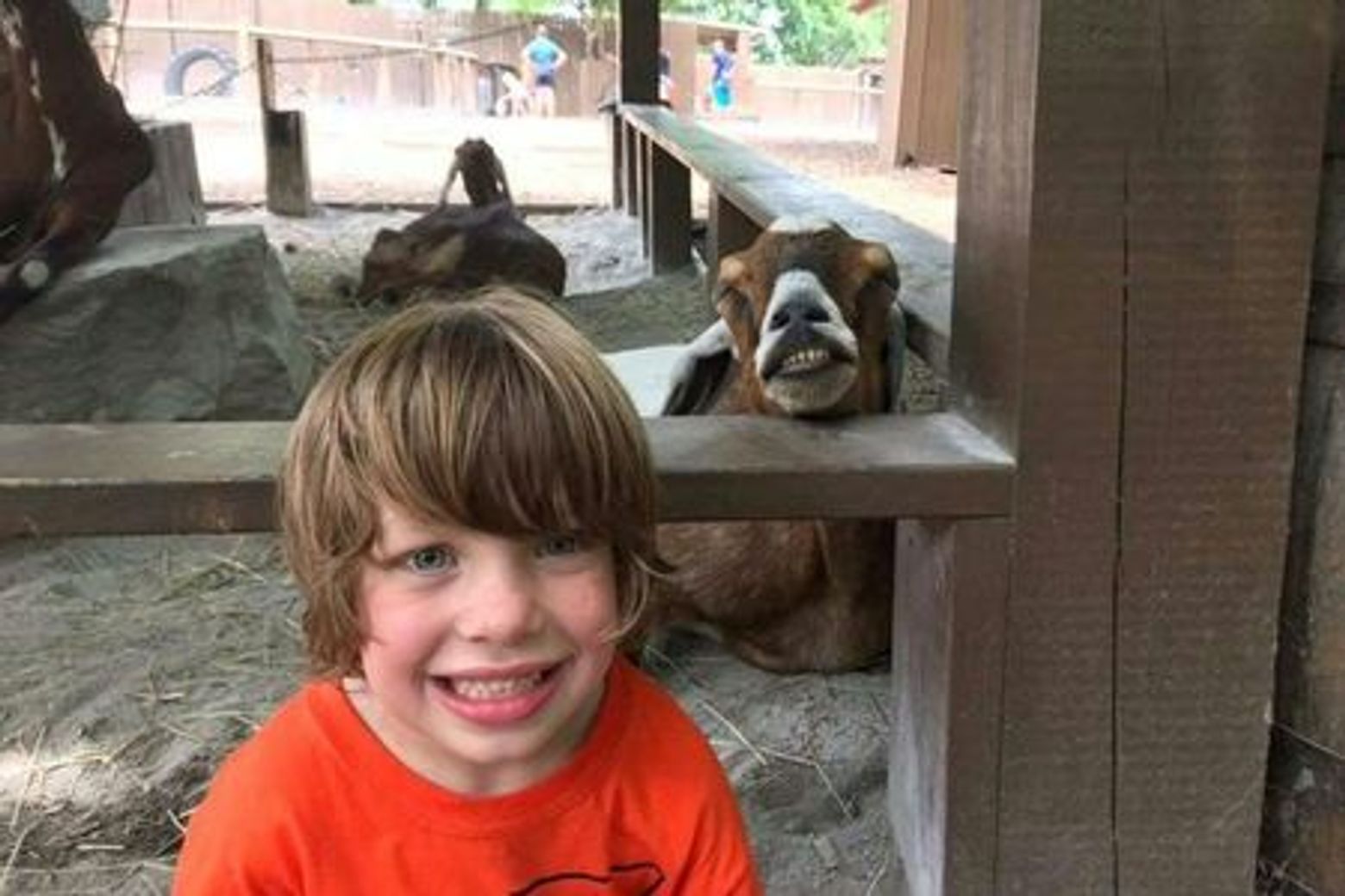 Nashville Zoo at Grassmere: Fast Track Ticket - photo 4