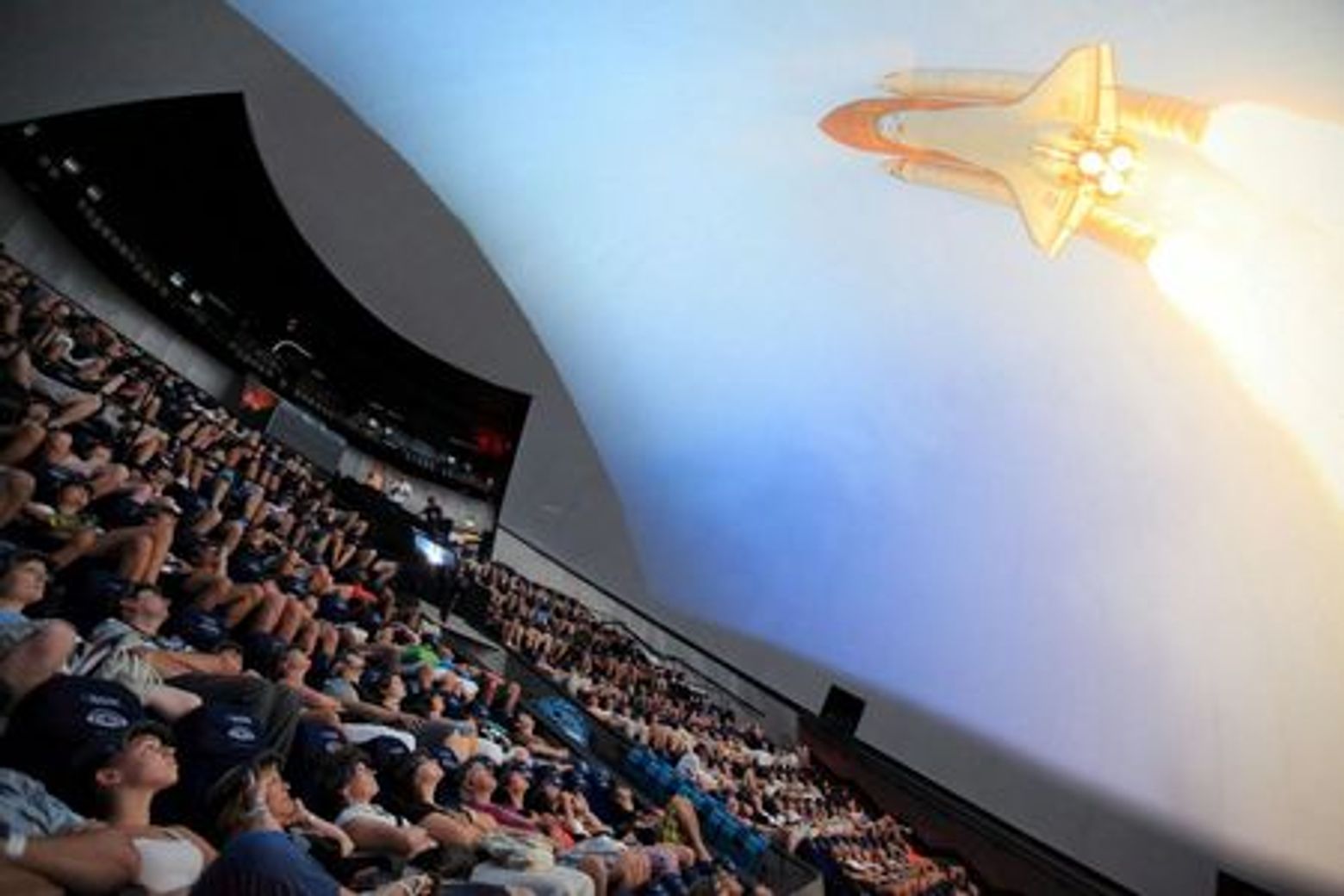 Oceanogràfic & Hemisfèric: Entry Ticket - photo 3