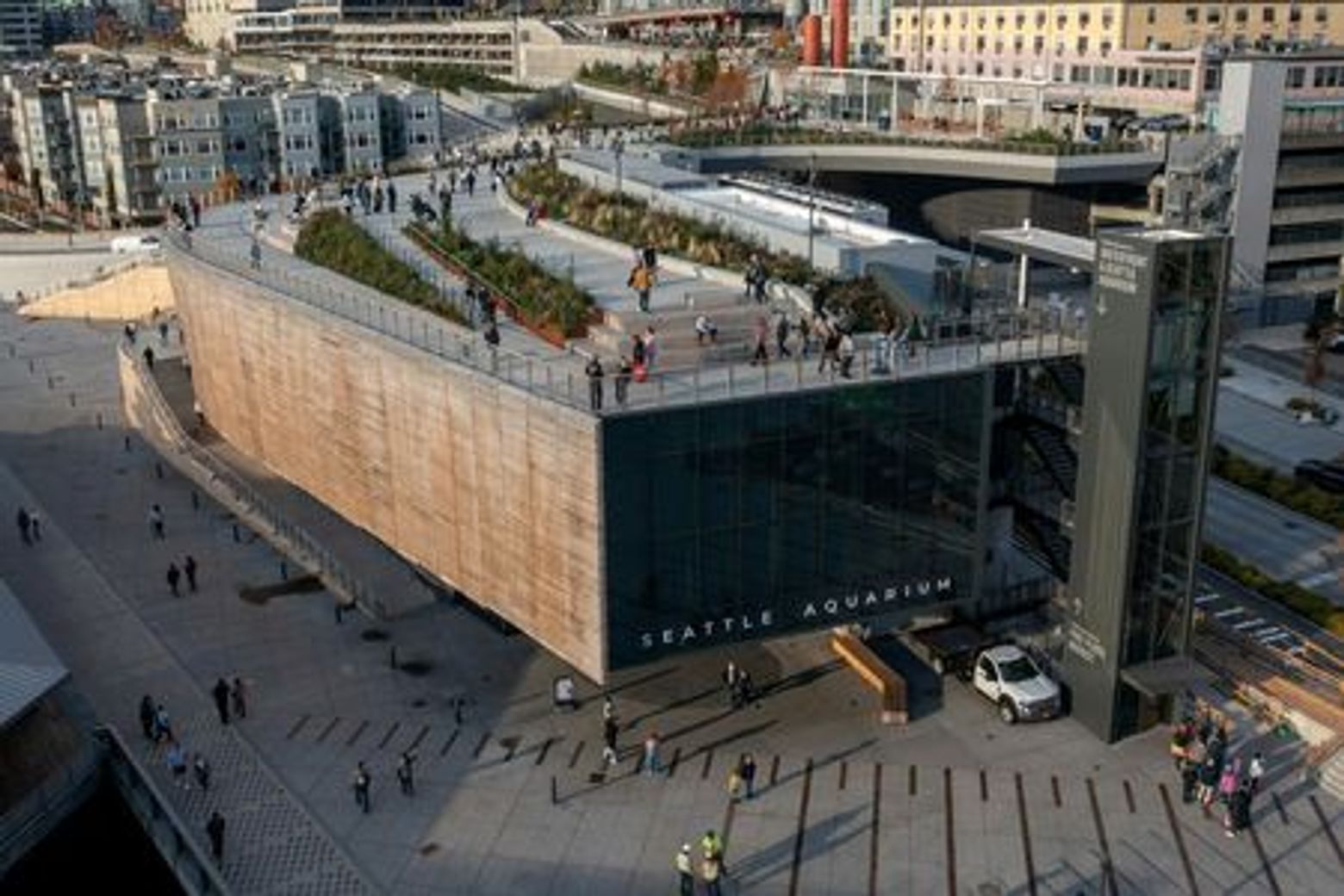 Seattle Aquarium: Entry Ticket - photo 3
