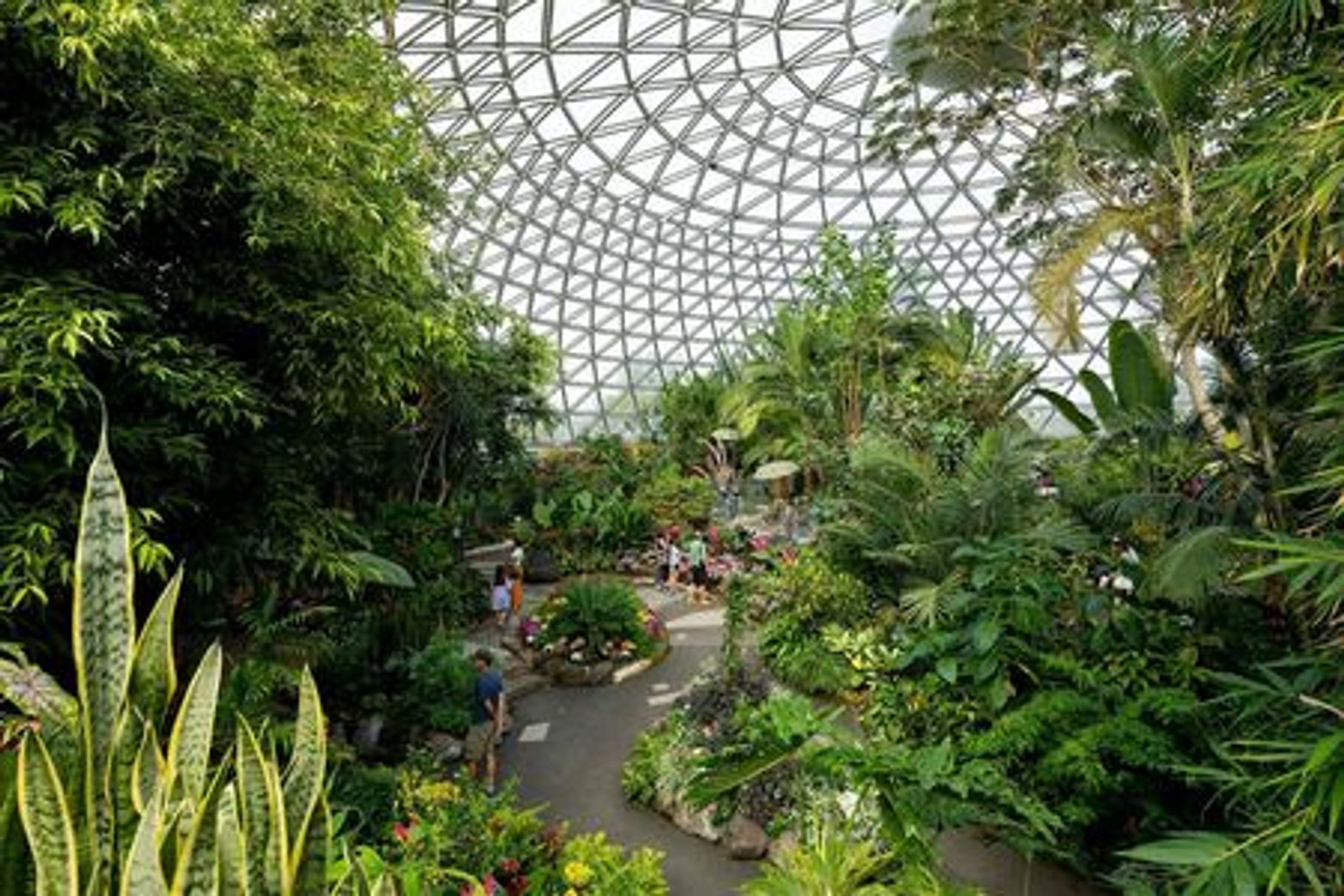 Bloedel Conservatory: Entry Ticket - photo 3