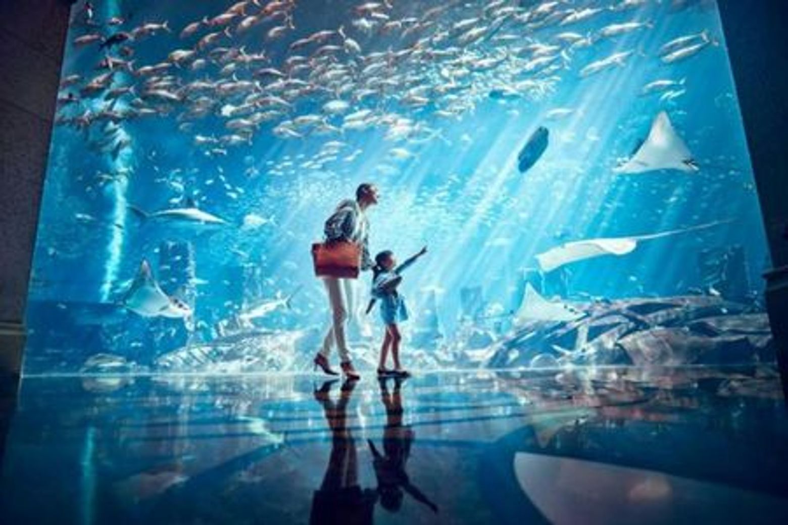 The Lost Chambers Aquarium: Entry Ticket - photo 3