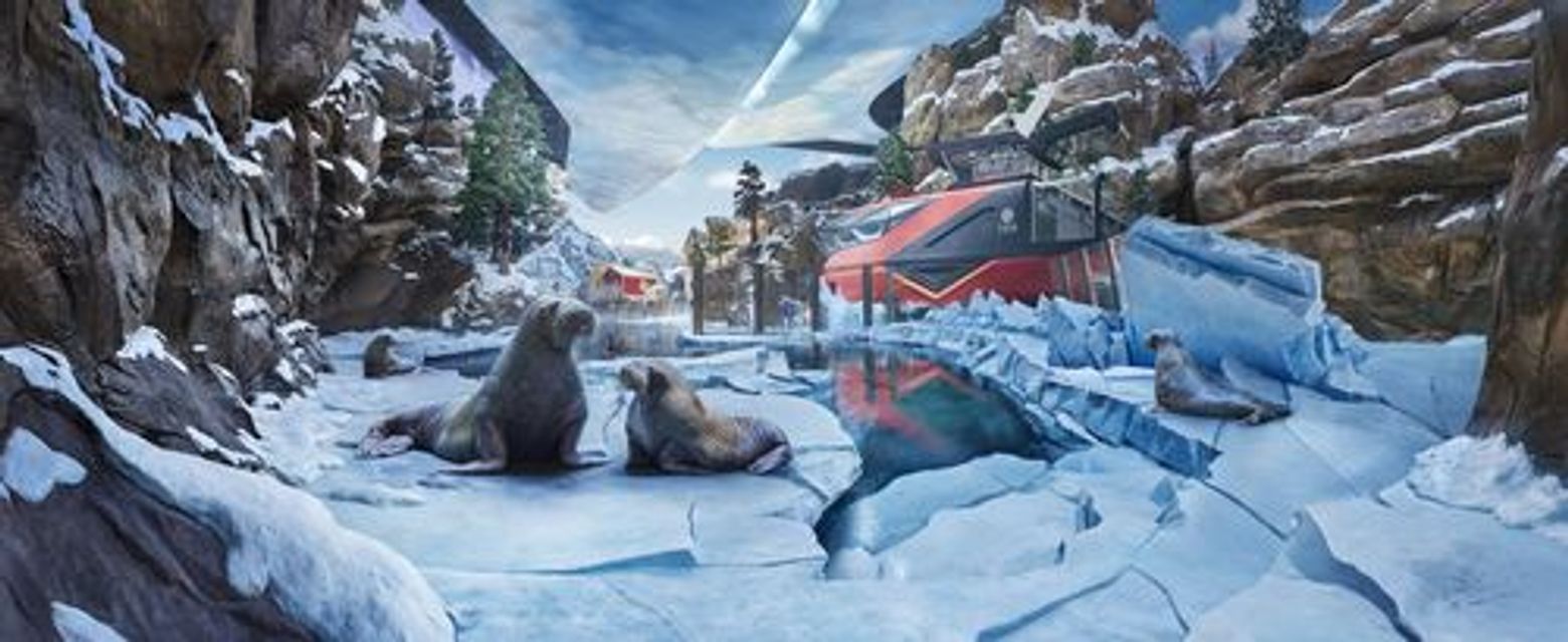 SeaWorld Abu Dhabi: Entry Ticket + Shuttle Service - photo 4