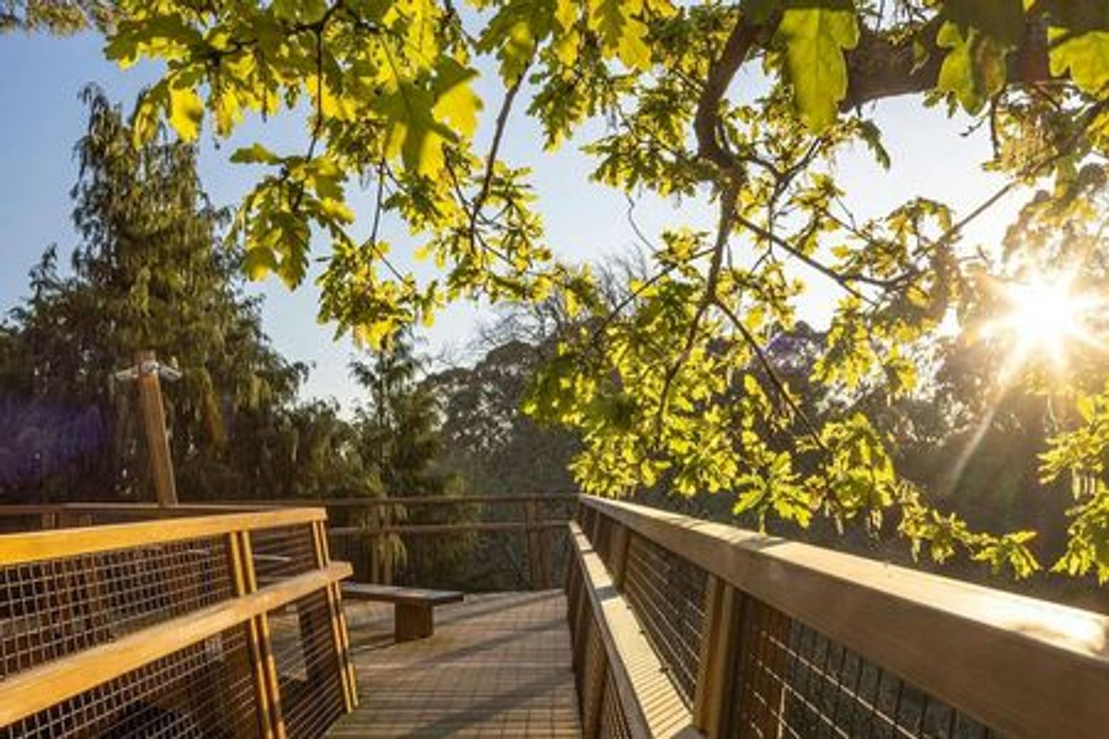Serralves Park: Entry Ticket and Treetop Walk - photo 3