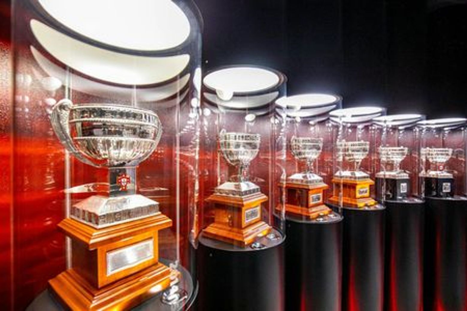 Estádio da Luz & Benfica Museum: Entry Ticket + Scarf Offer - photo 4
