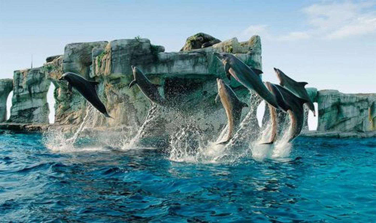 Theme Park Oltremare: Entry Ticket + Lunch - photo 3