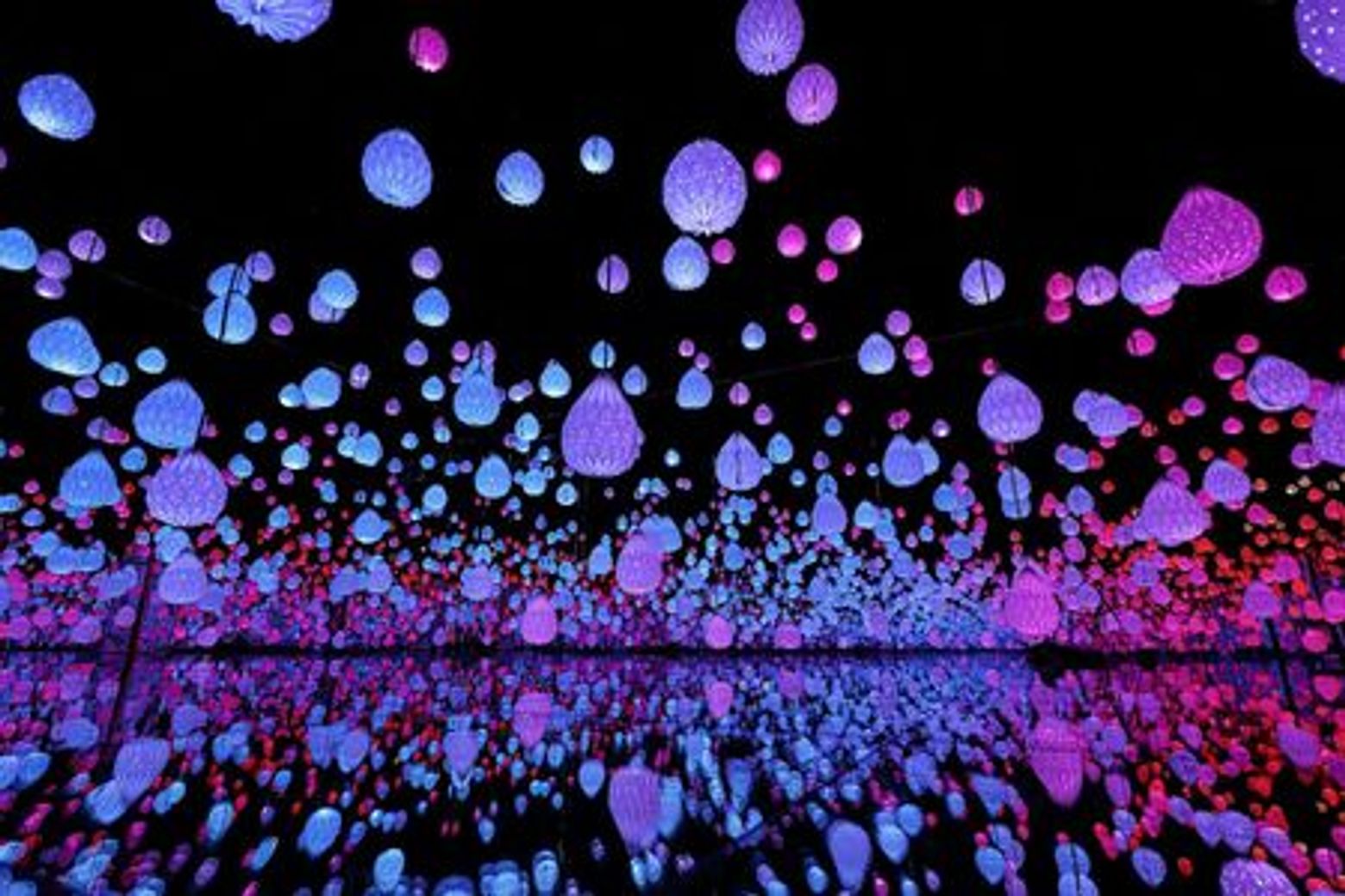 Arte Museum Las Vegas: Entry Ticket - photo 3