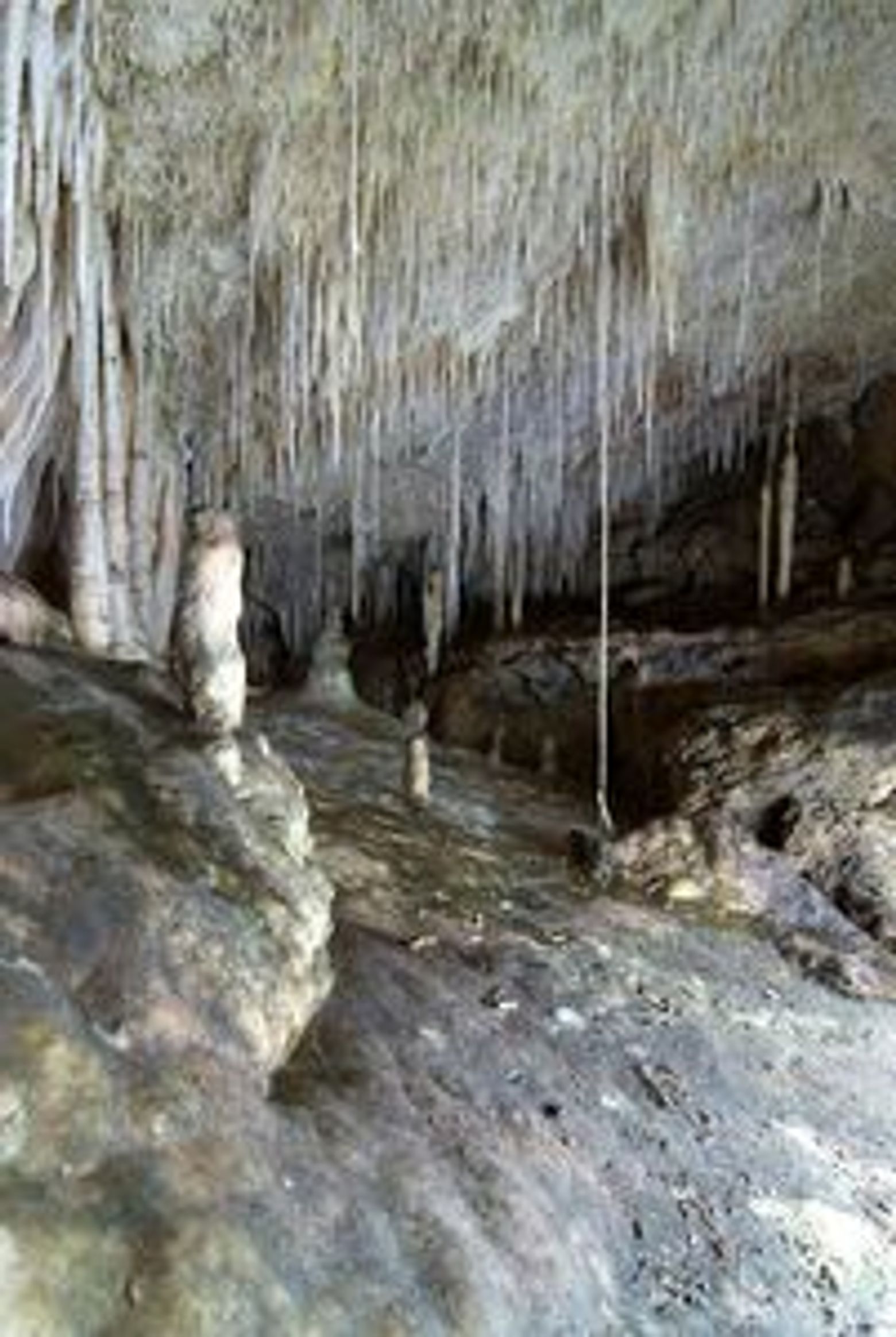 Campanet Caves: Skip The Line Ticket - photo 3