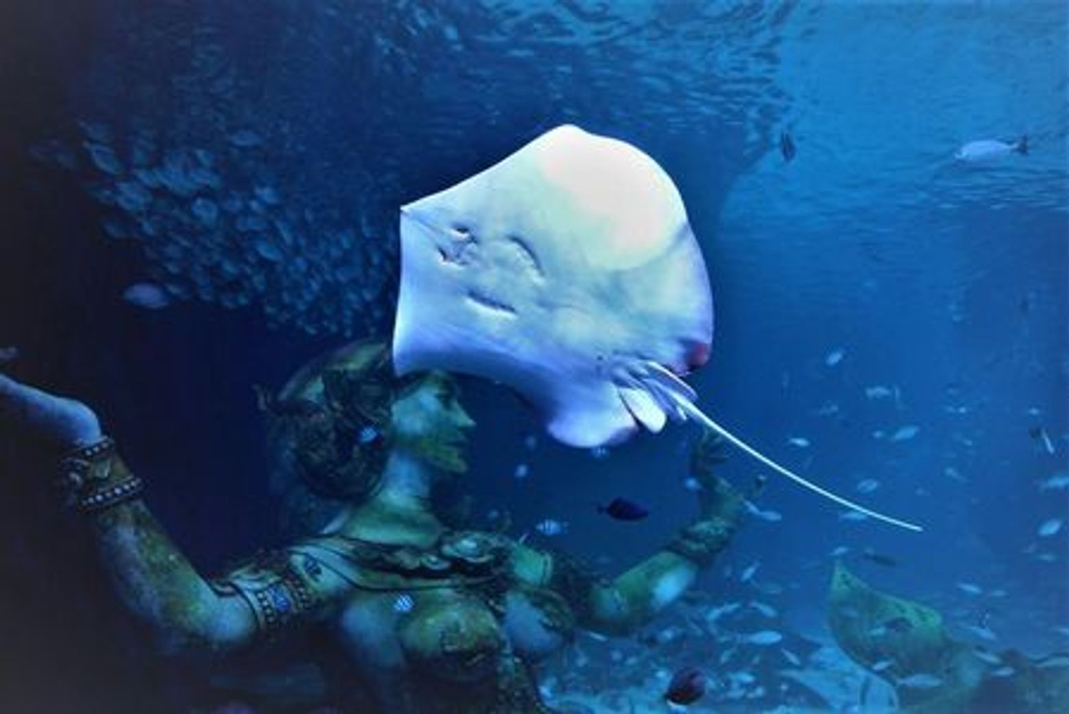 Aquaria Phuket: Entry Ticket - photo 3