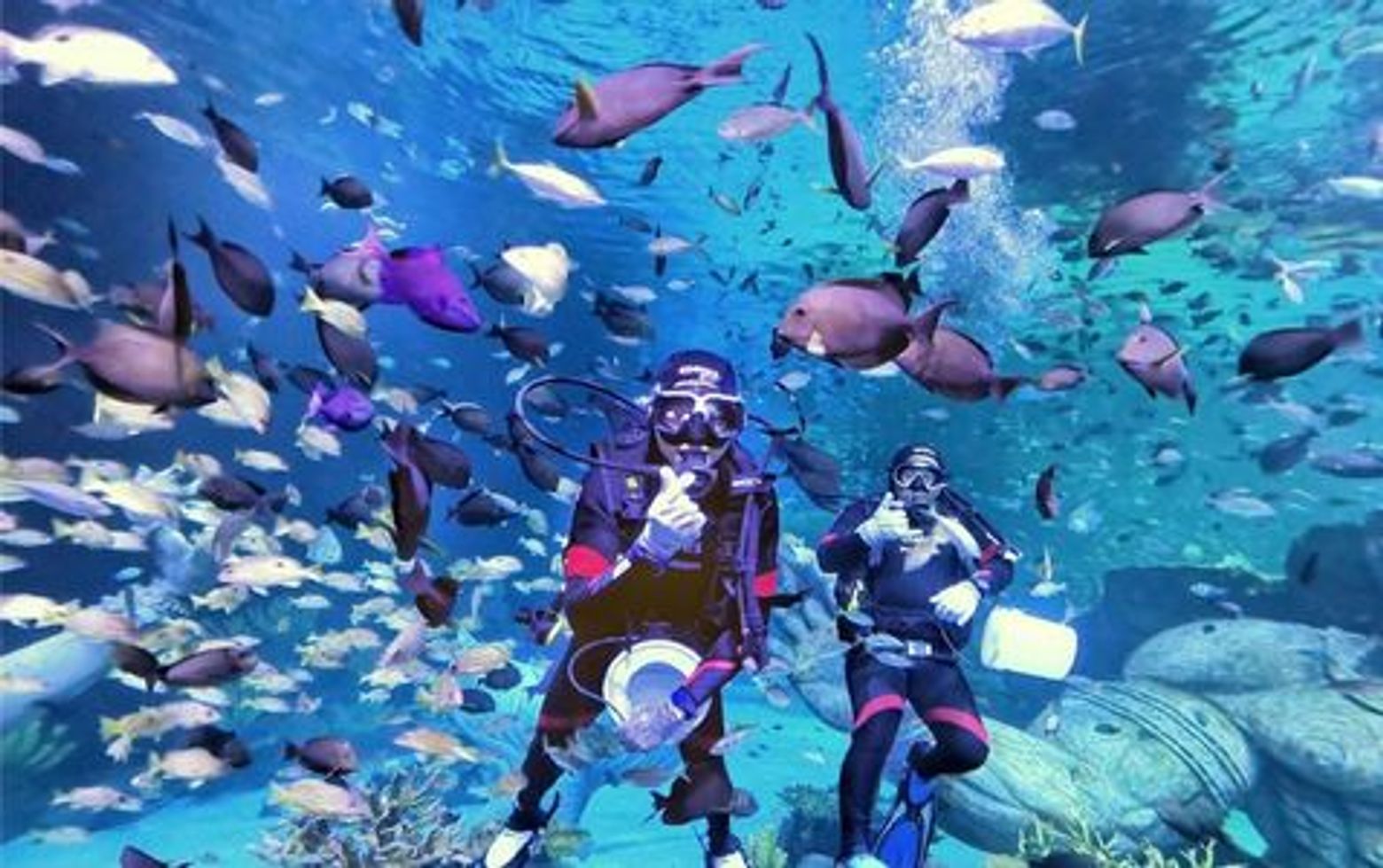 Aquaria Phuket: Entry Ticket - photo 4