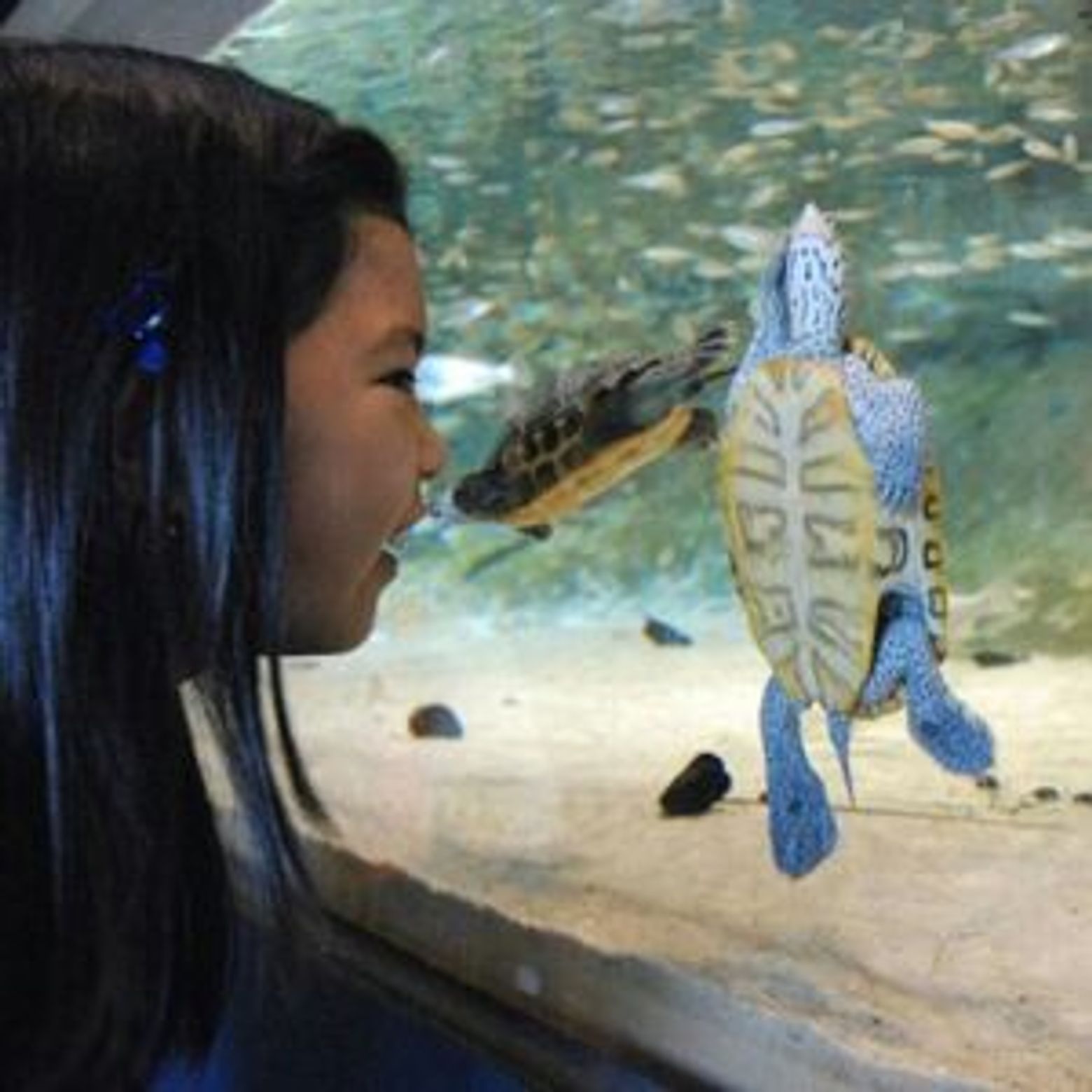 Liberty Science Center: Entry Ticket - photo 3