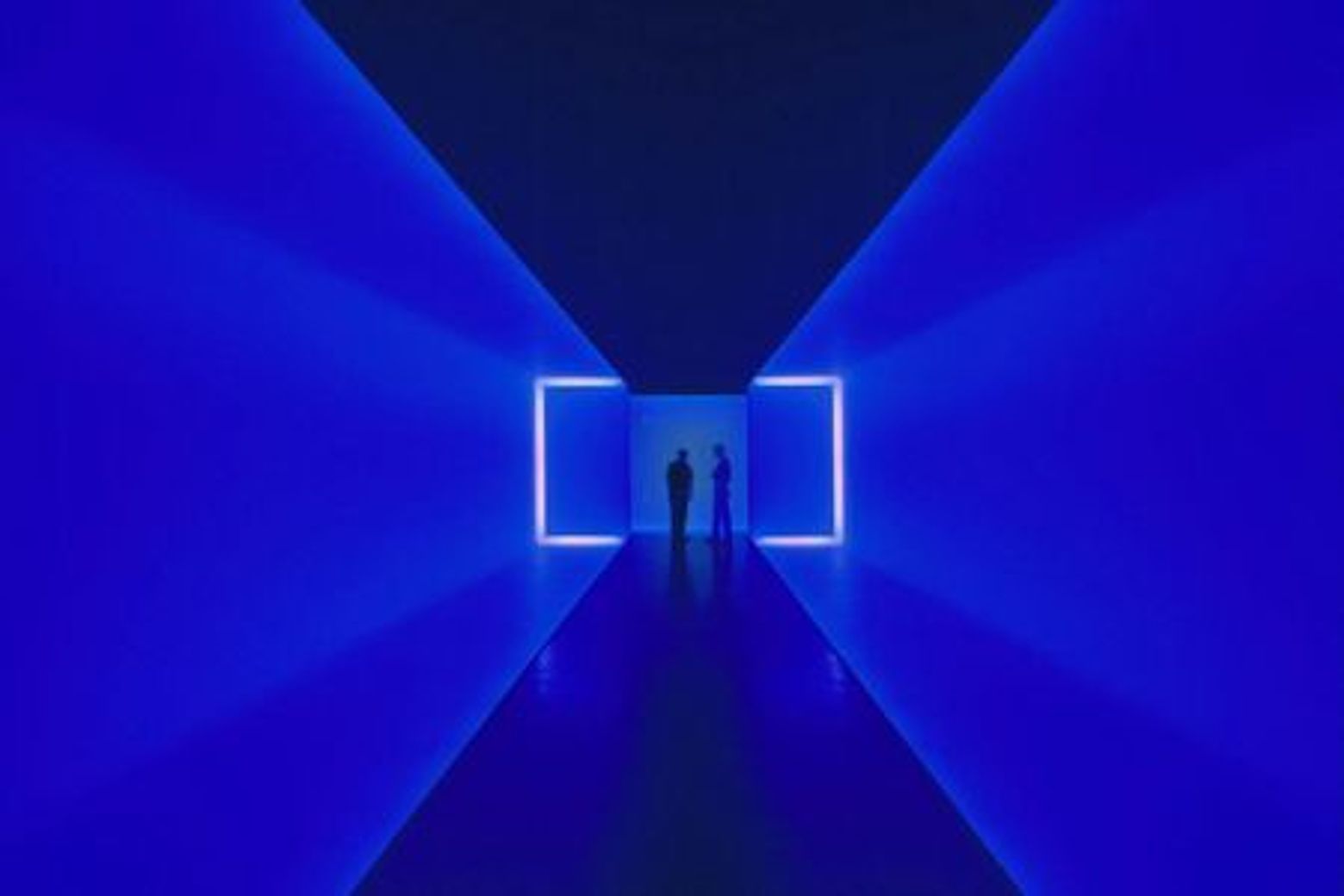 The Museum of Fine Arts, Houston: ALL ACCESS Ticket - photo 4