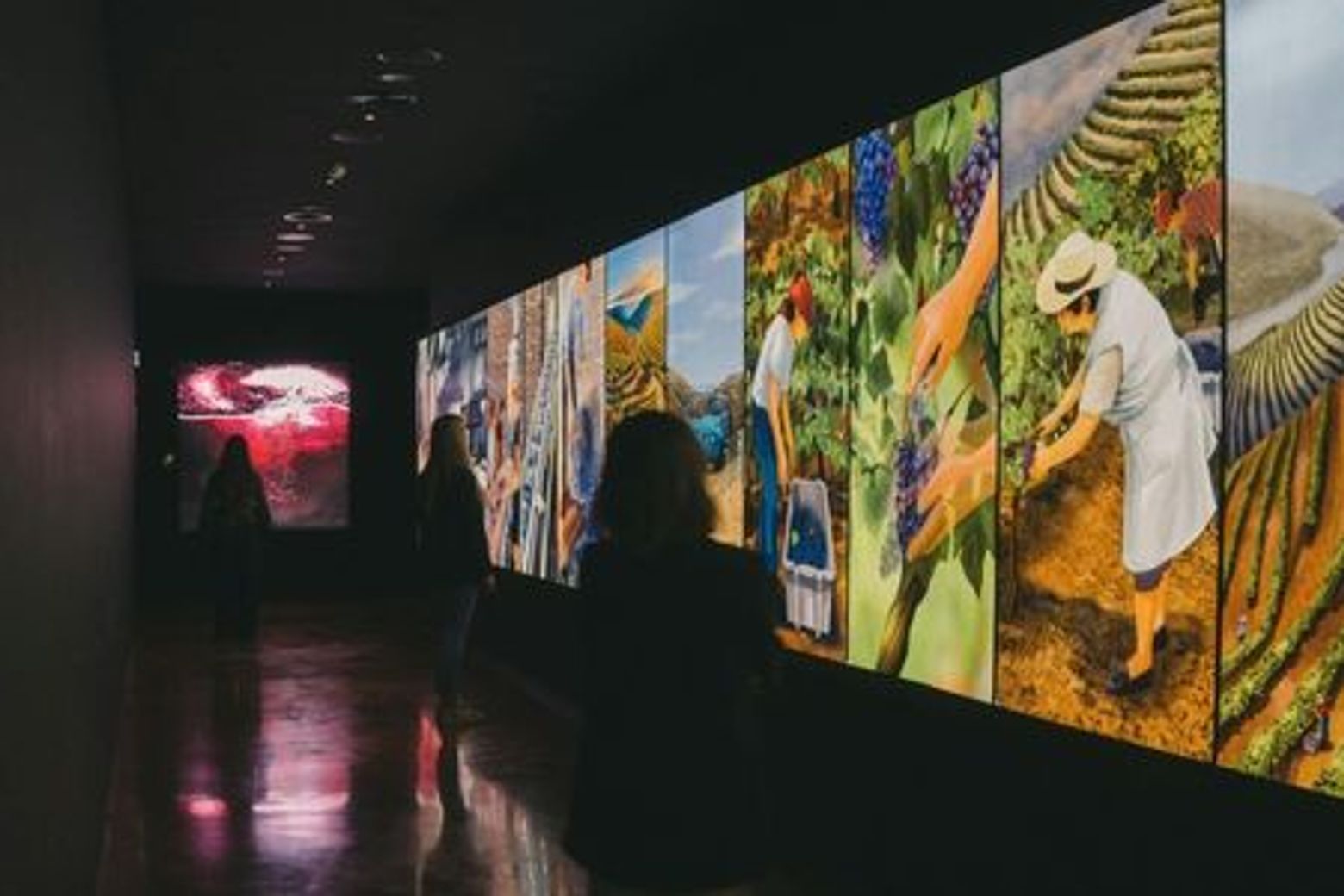 Taylor's Cellars & WOW Museum: Entry Ticket - photo 4