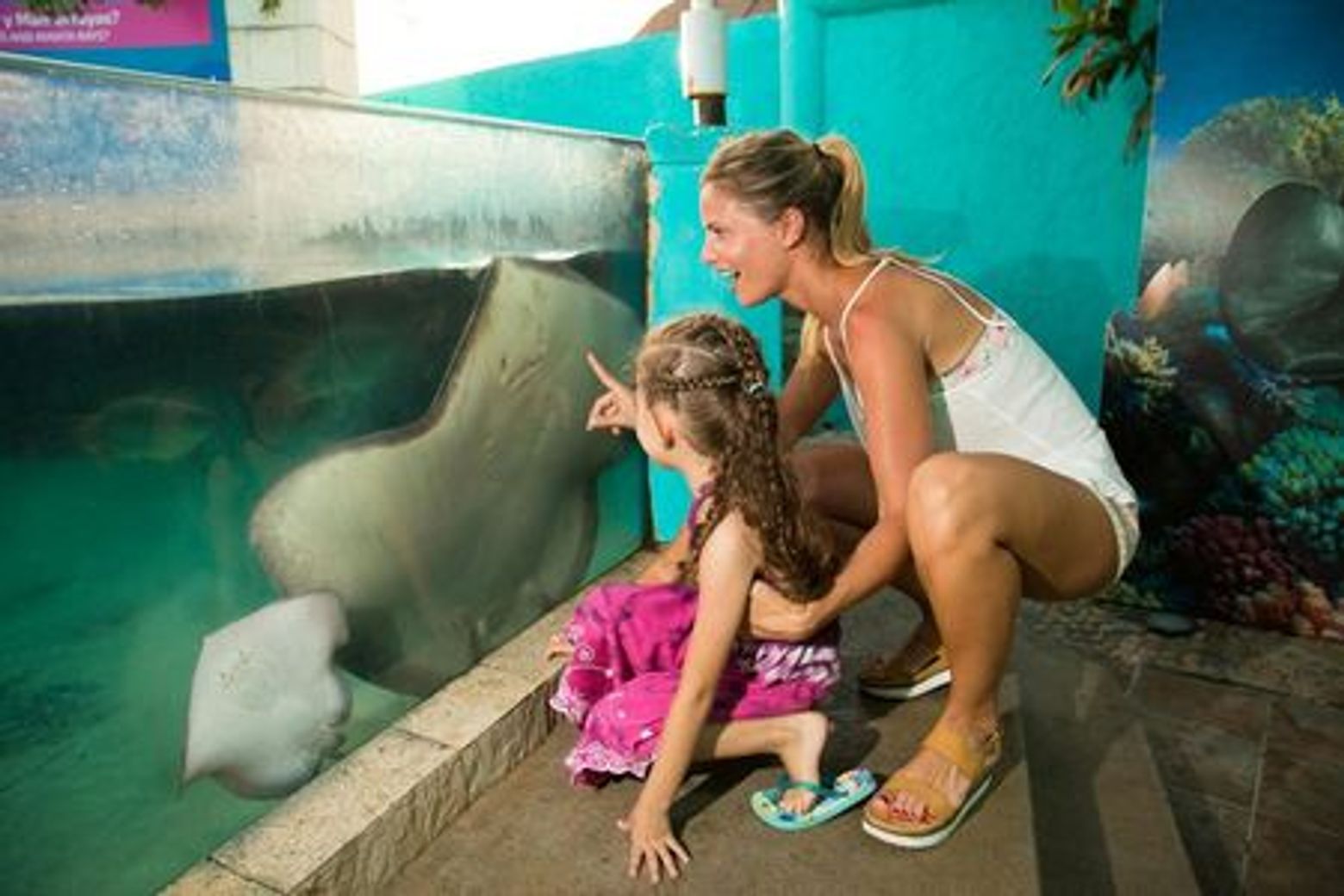 Interactive Aquarium Cancún: Entry Ticket - photo 4