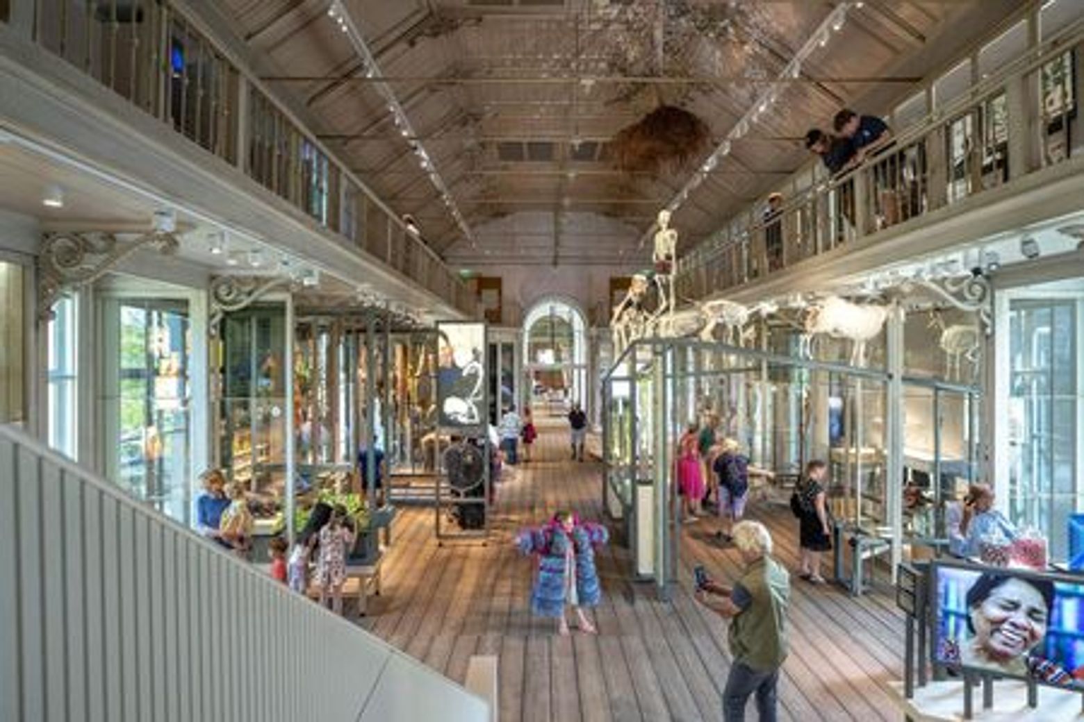 ARTIS Amsterdam Royal Zoo & Groote Museum: Skip-the-Line Entry Ticket - photo 3