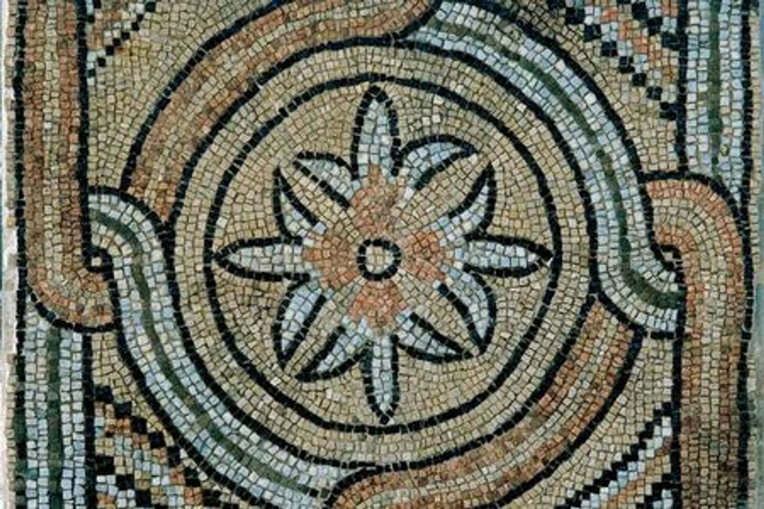 Domus dei Tappeti di Pietra: Entry Ticket - photo 4