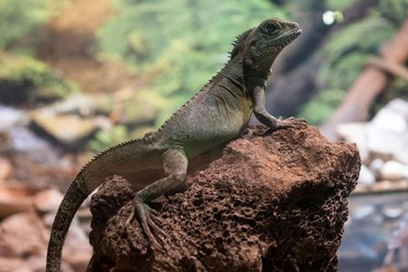 Emaar Aquarium & Emaar Skyview: Combo Entry Ticket - photo 4